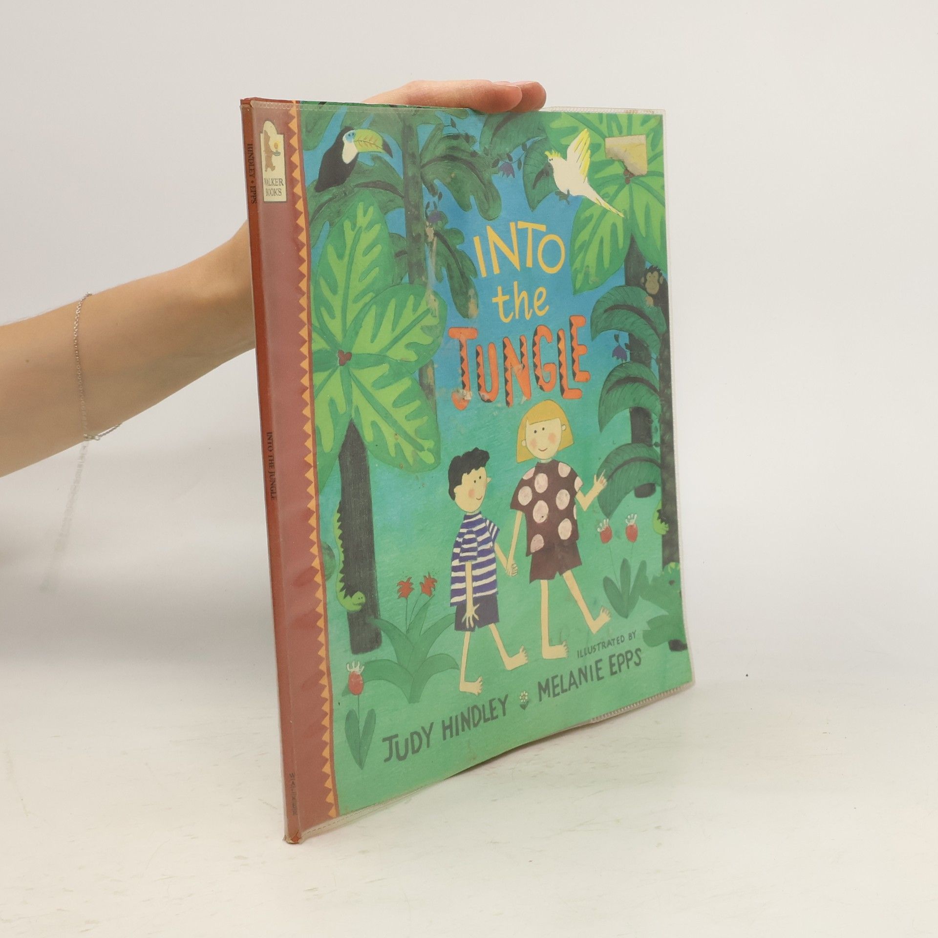 Judy Hindley Into the Jungle