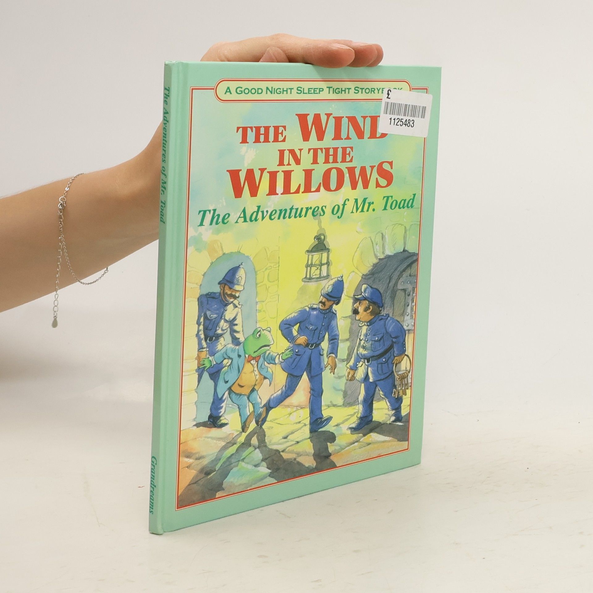 Ann McKie The Wind in the Willows