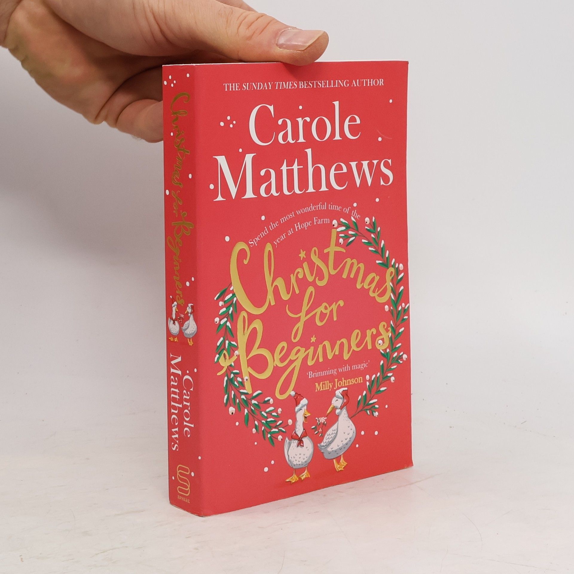 Carole Matthews Christmas for Beginners