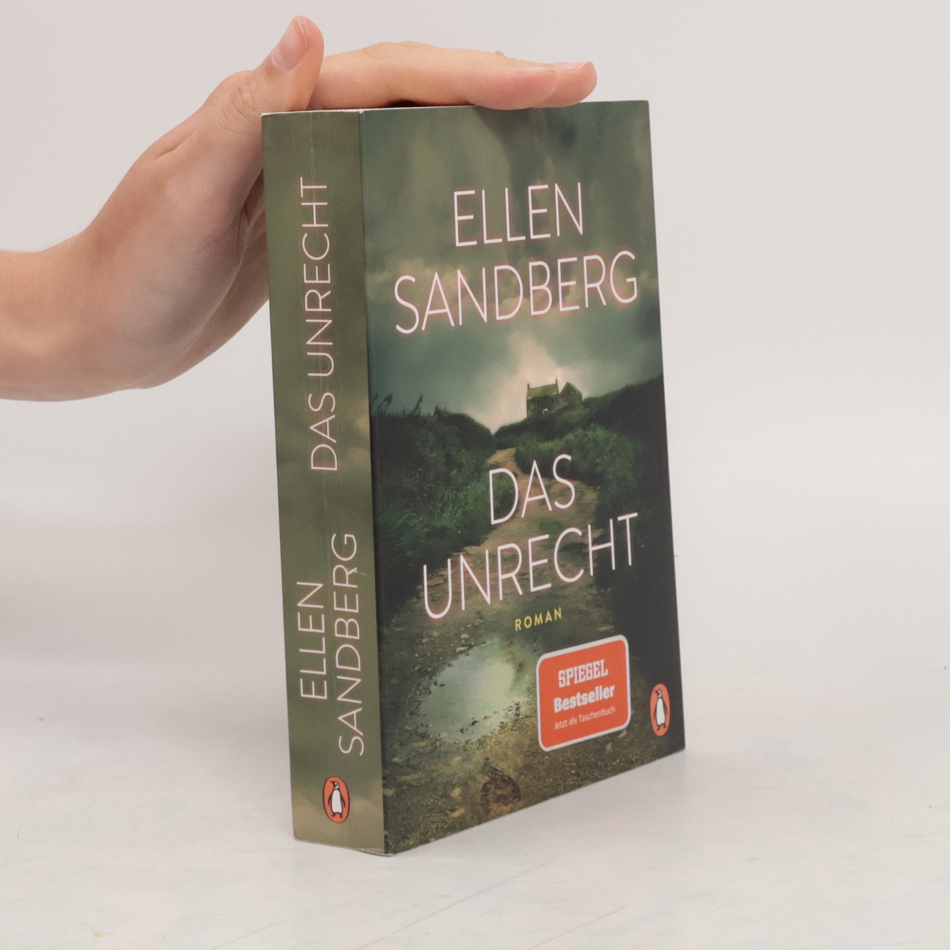 Ellen Sandberg Das Unrecht