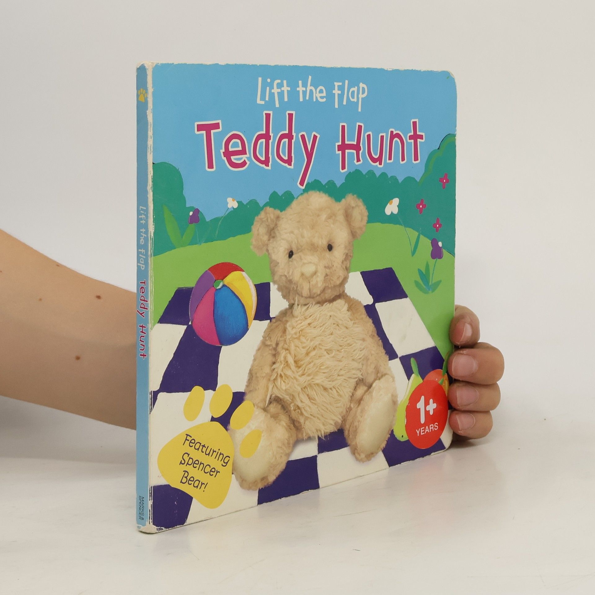 Nicola Evans Teddy Hunt. Lift the Flap