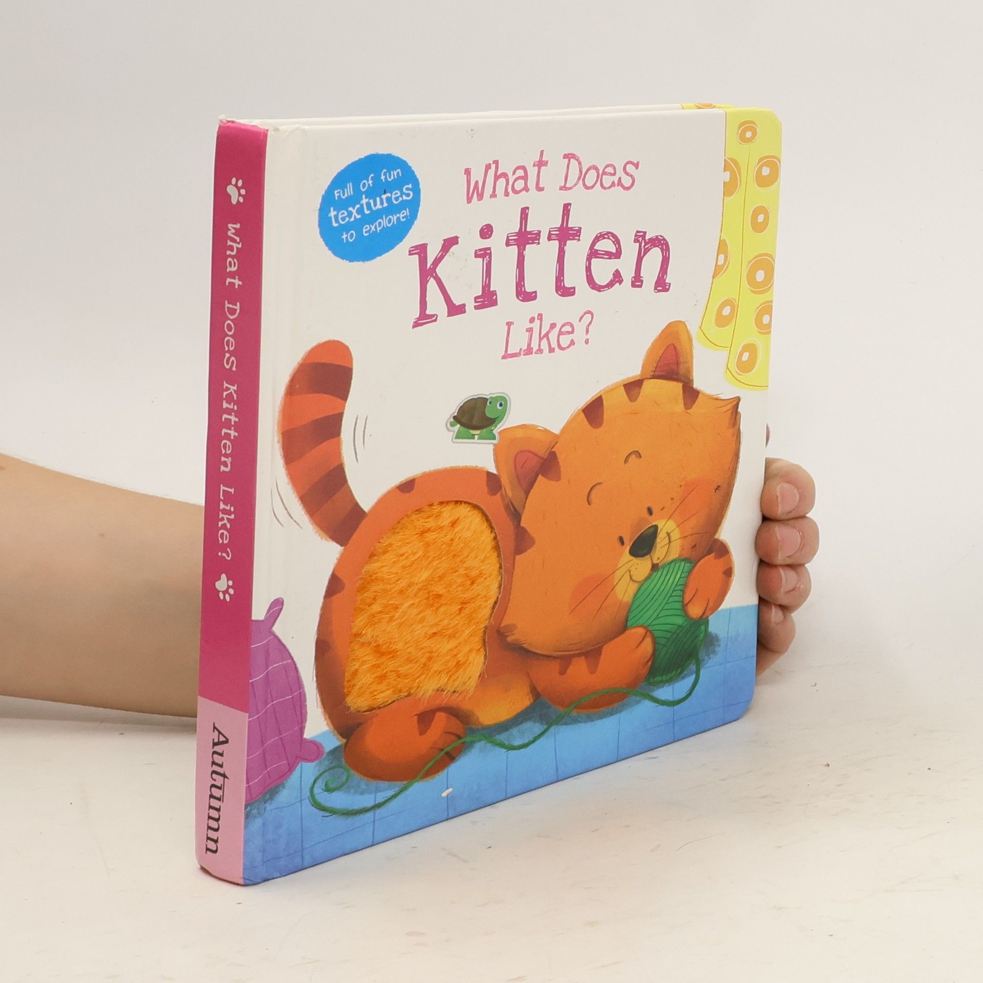 Collective What Does Kitten Like?