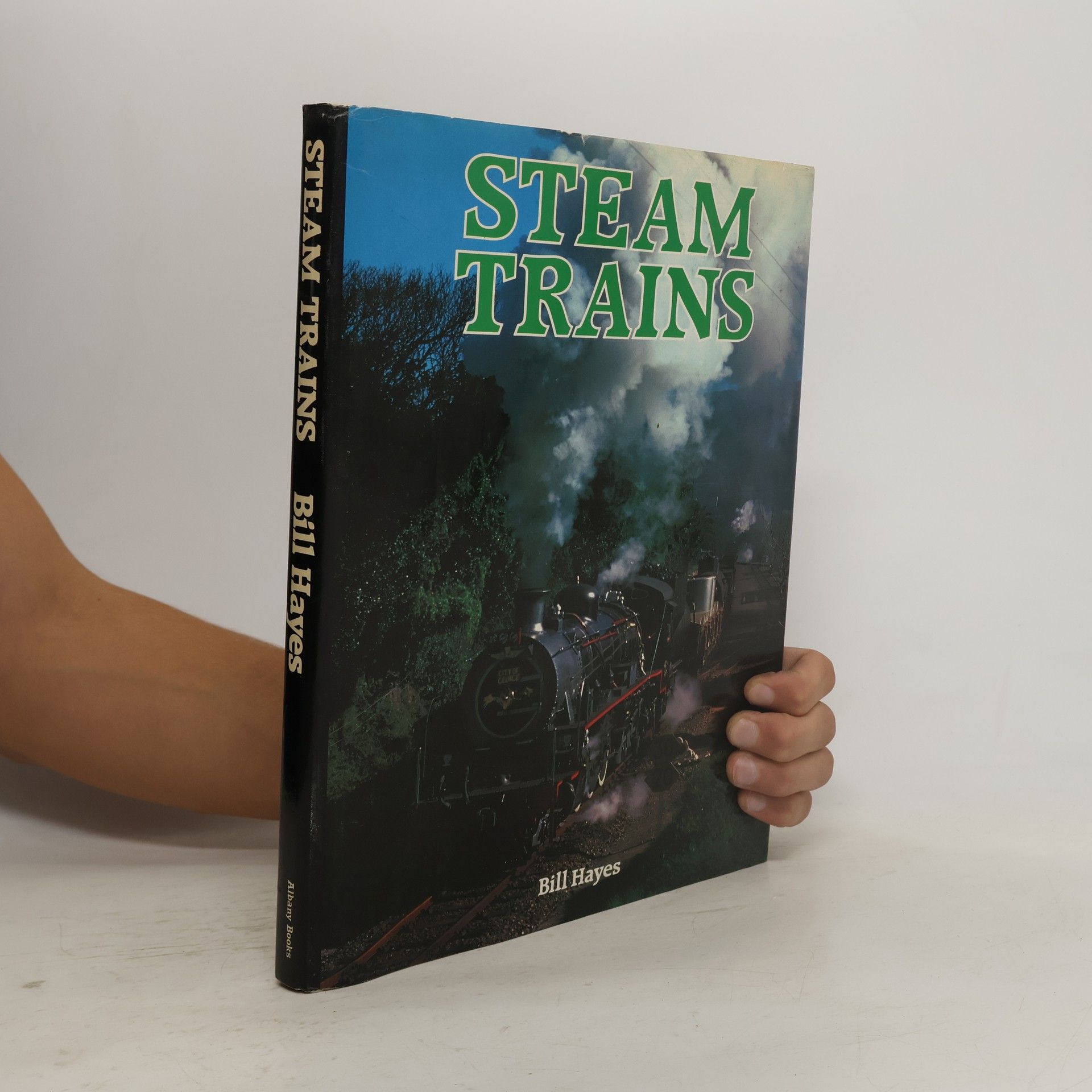 Bill Hayes Steam Trains