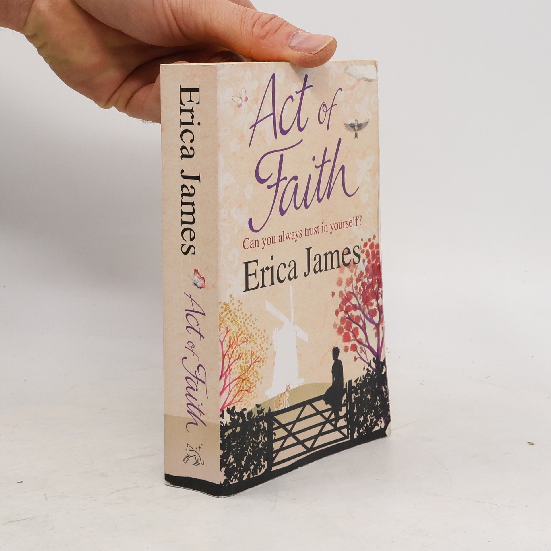 Erica James Act of Faith