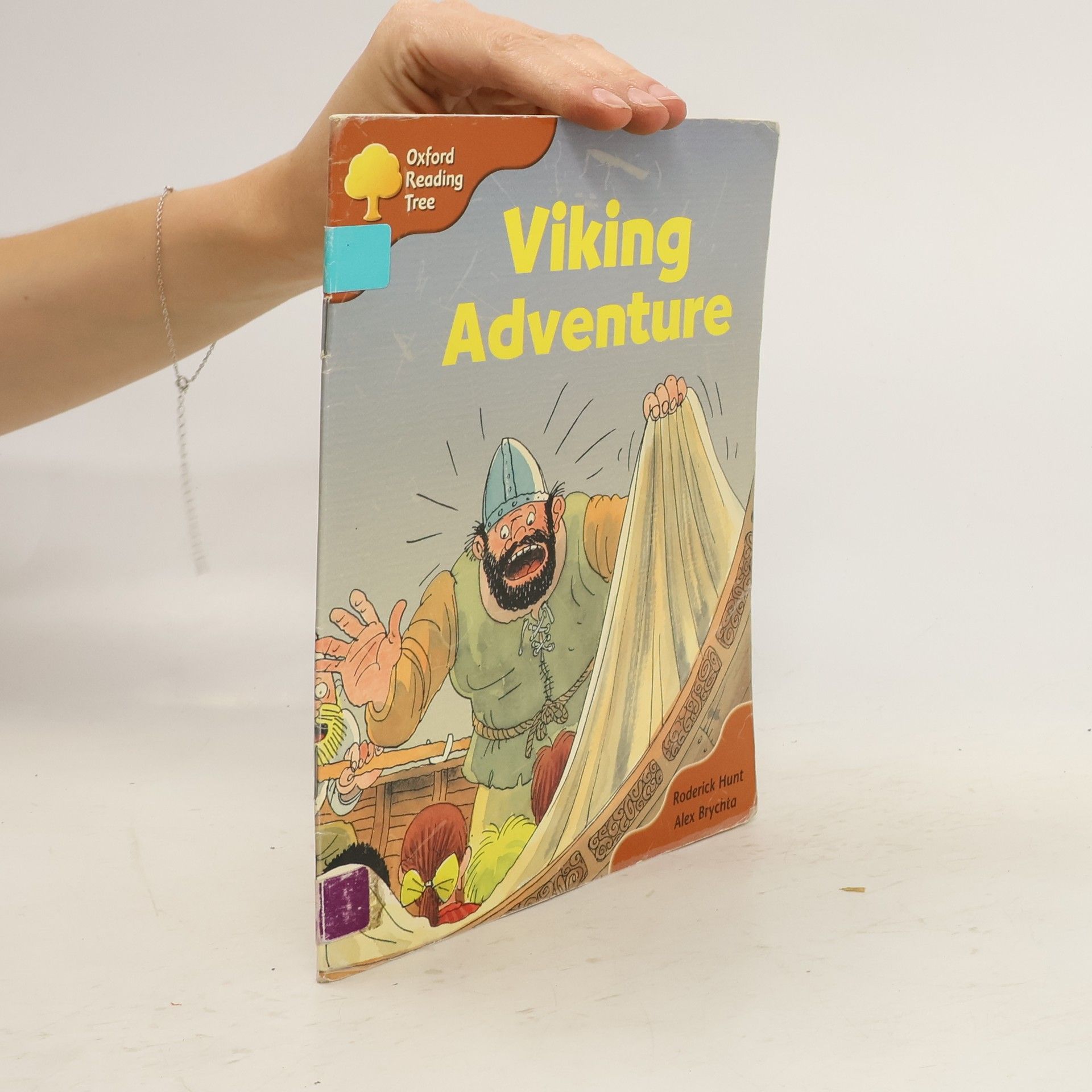 Roderick Hunt Viking Adventure