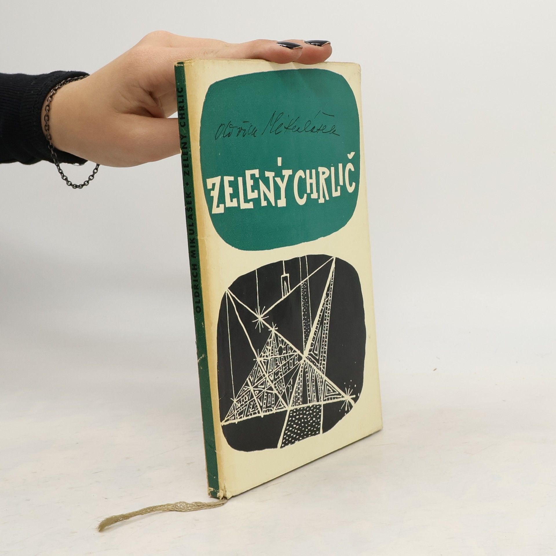 Oldřich Mikulášek Zelený chrlič : Verše o Brně