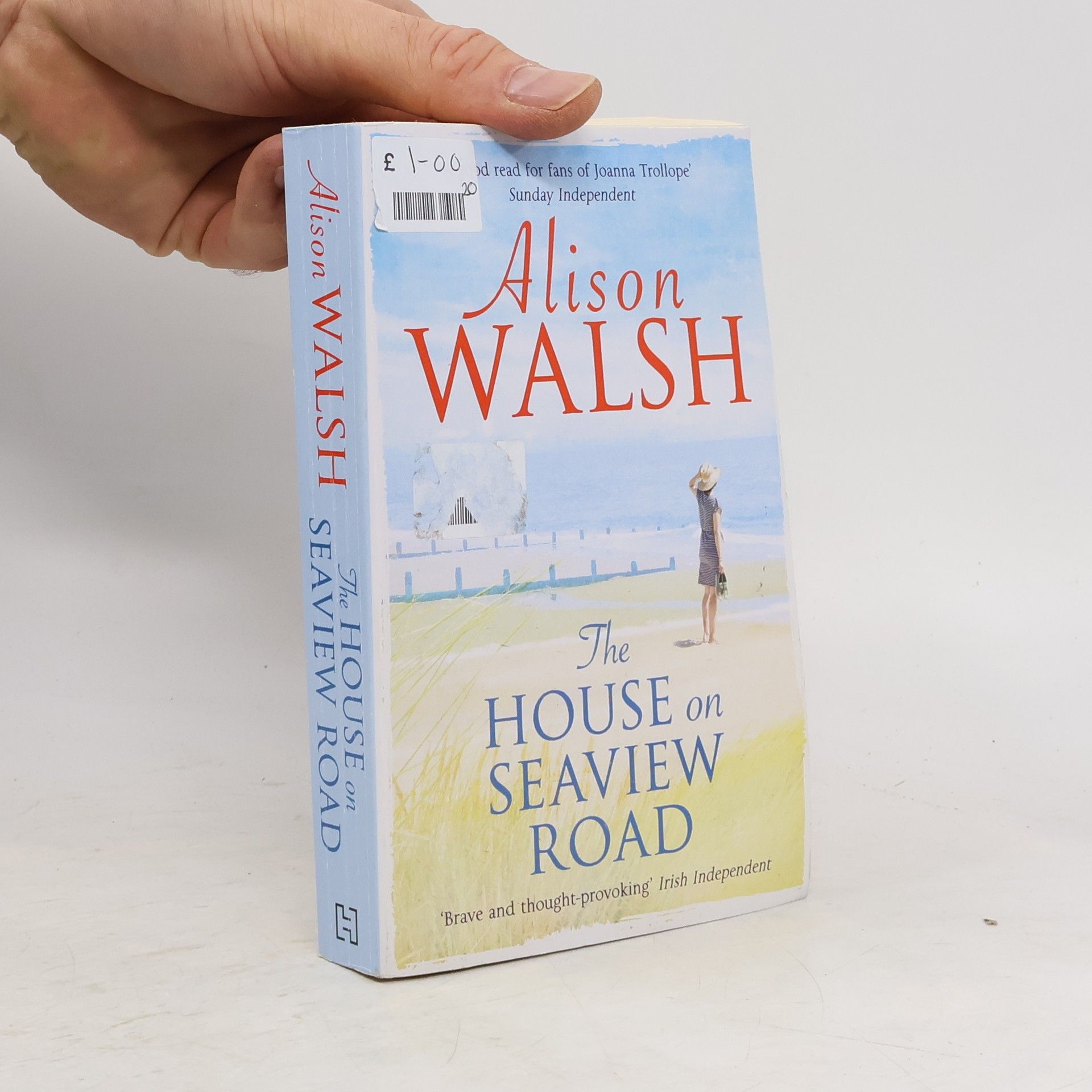 Alison Walsh The House on Seaview Road