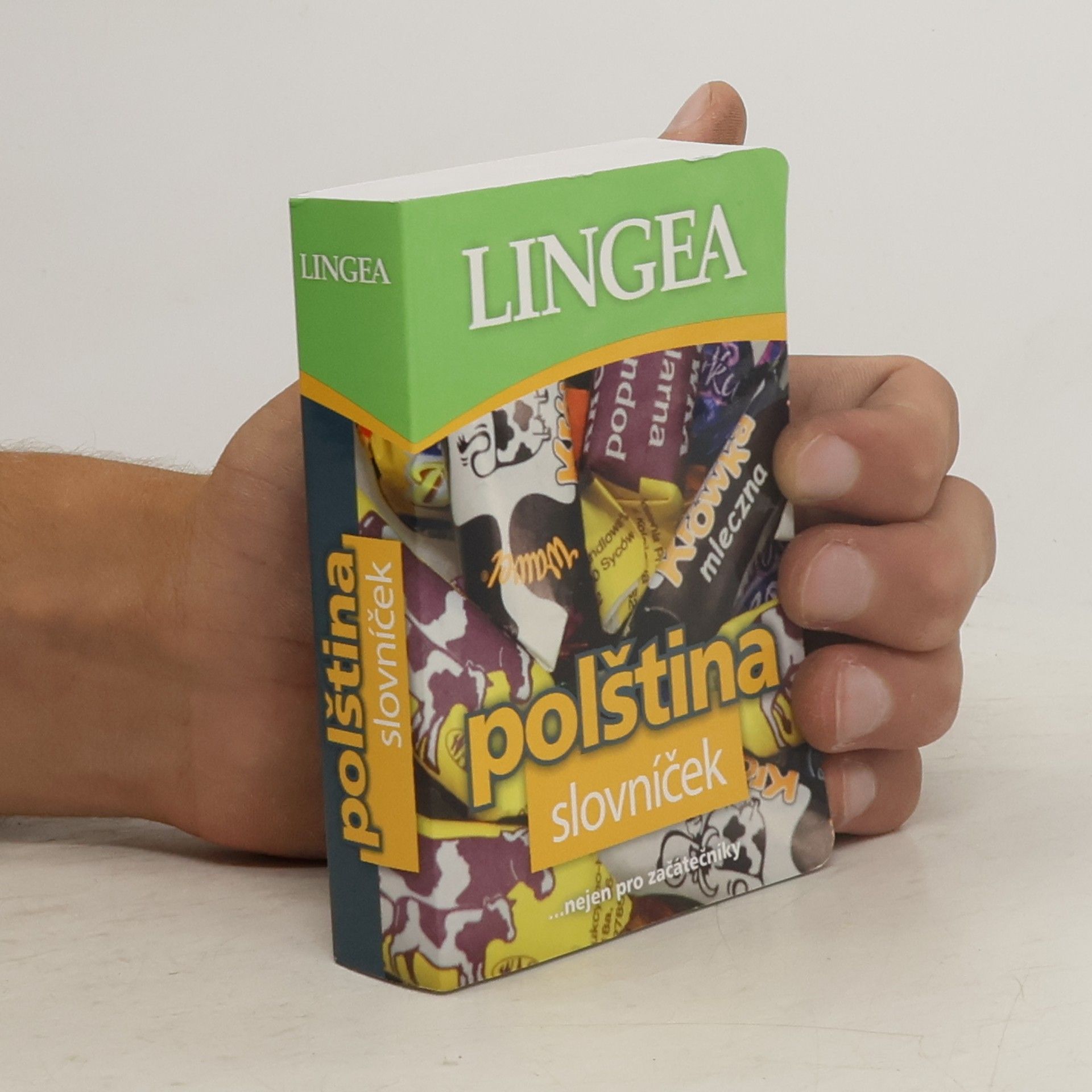 AA.VV. Polština : slovníček