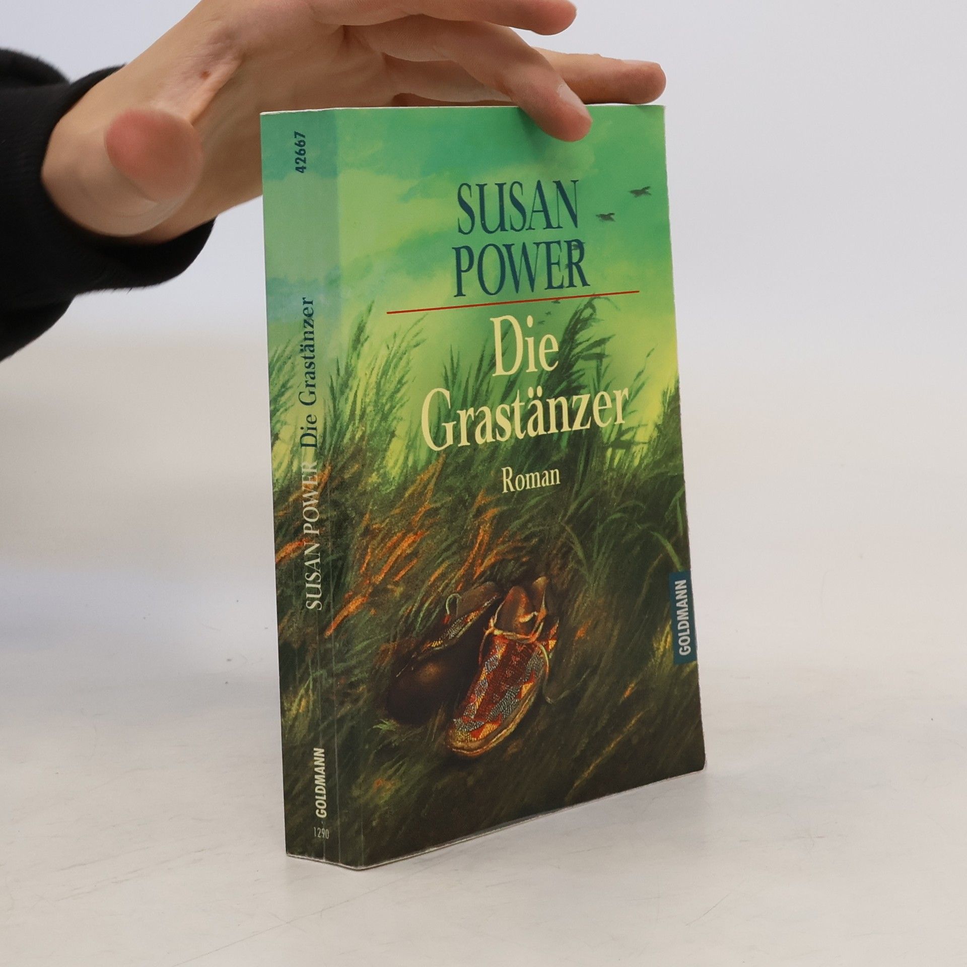 Susan Power Die Grastänzer