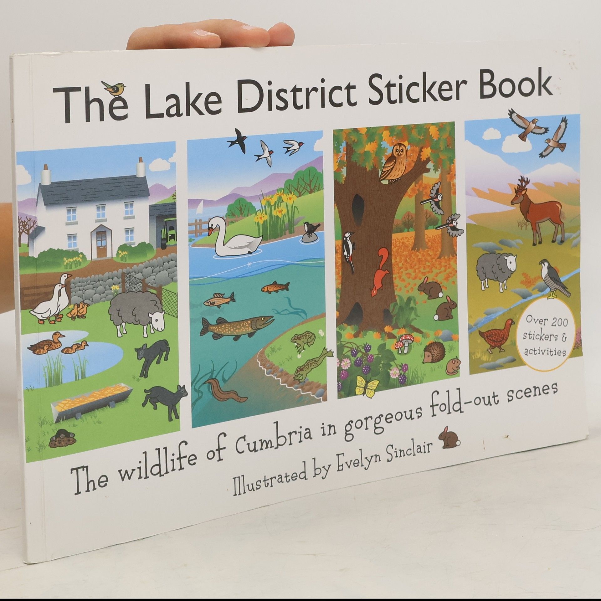 Jake Island Ltd The Lake District Sticker Book