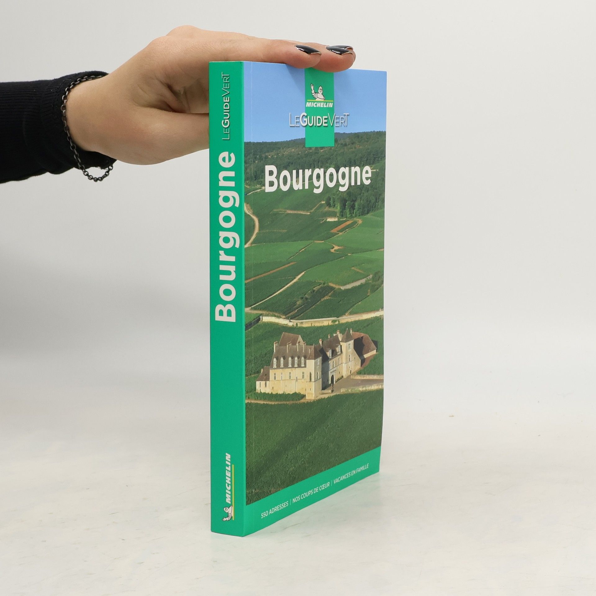 Collectif d'auteurs Michelin Le Guide Vert Bourgogne