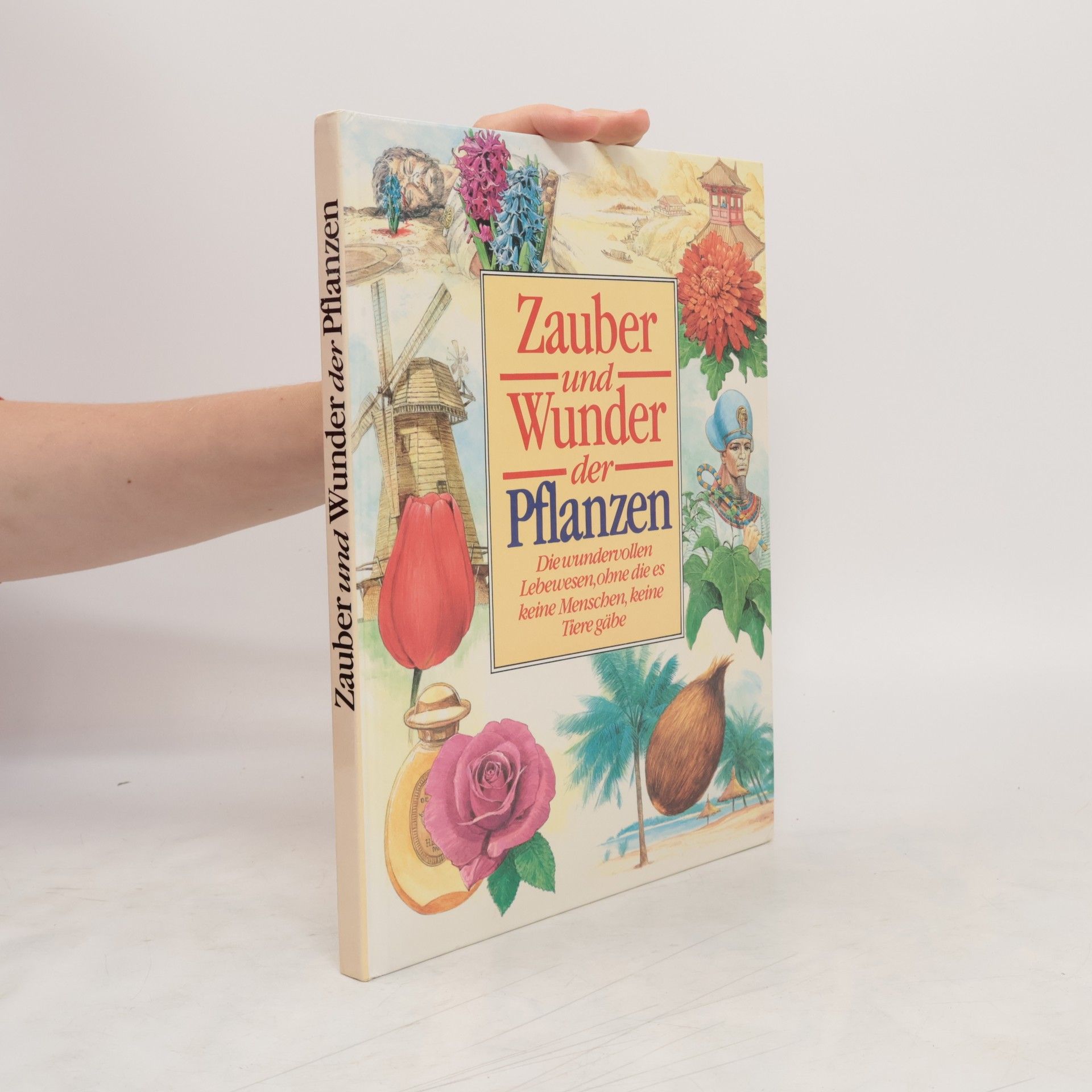 kolektiv Zauber und wunder der Pflanzen