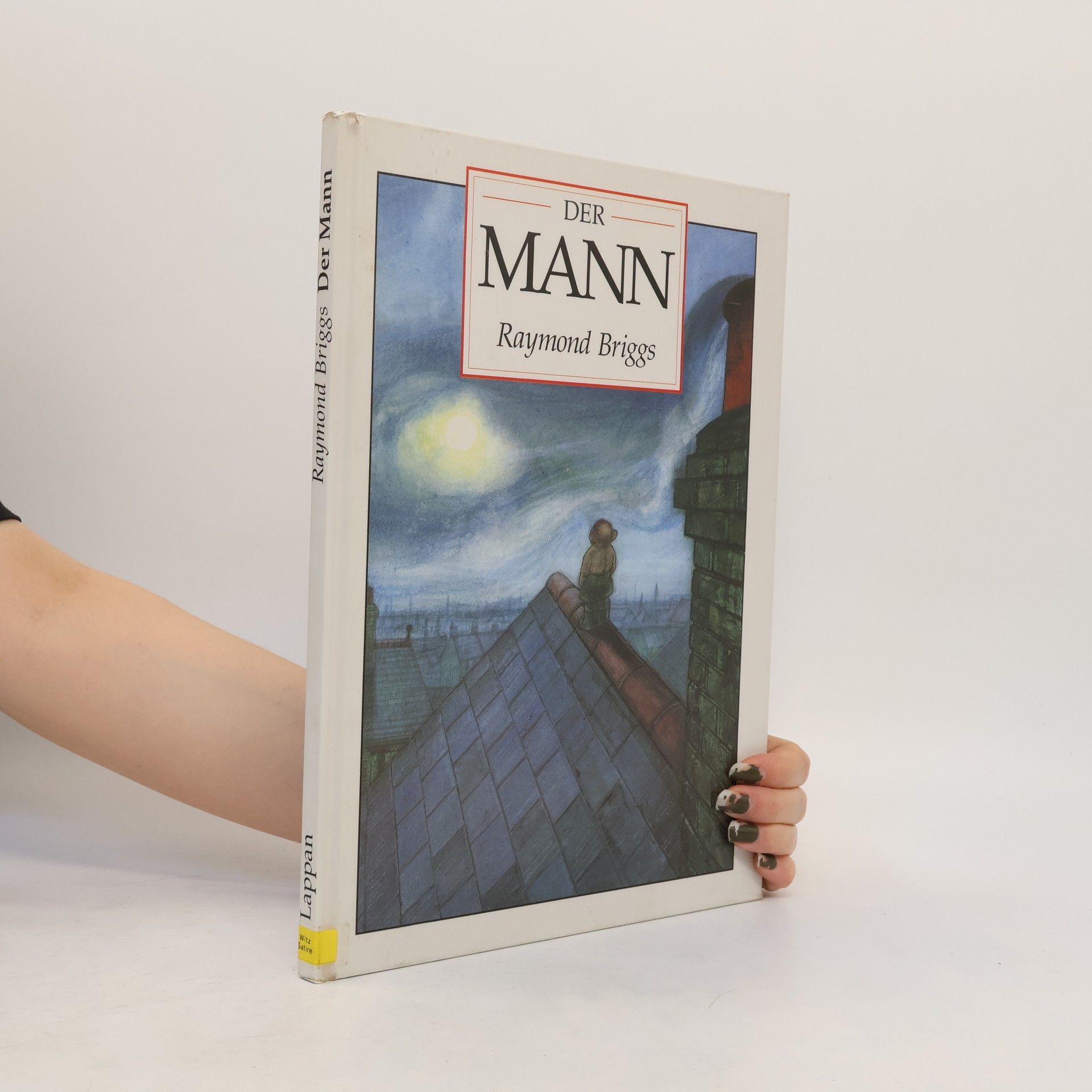 Raymond Briggs Der Mann