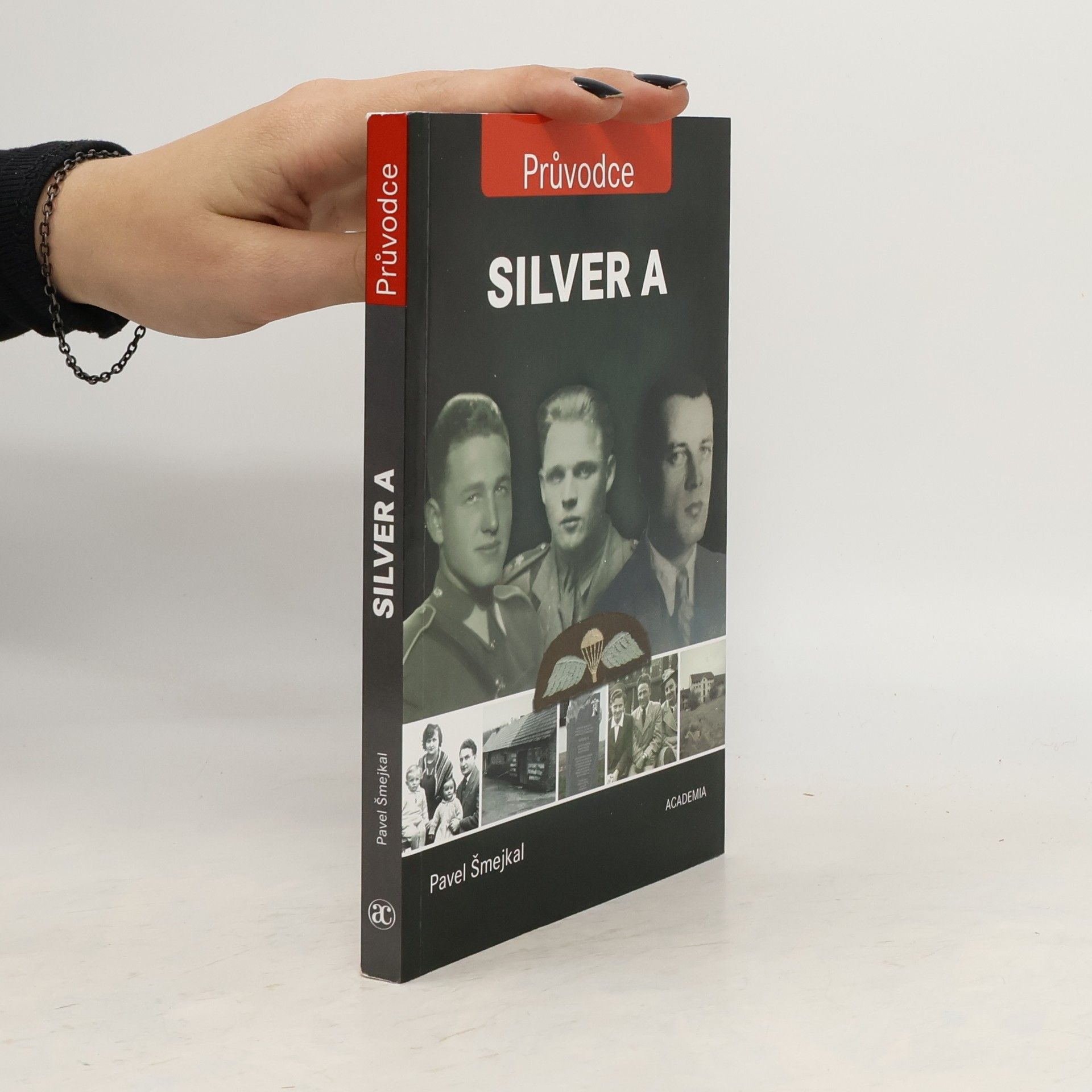 Pavel Šmejkal Silver A
