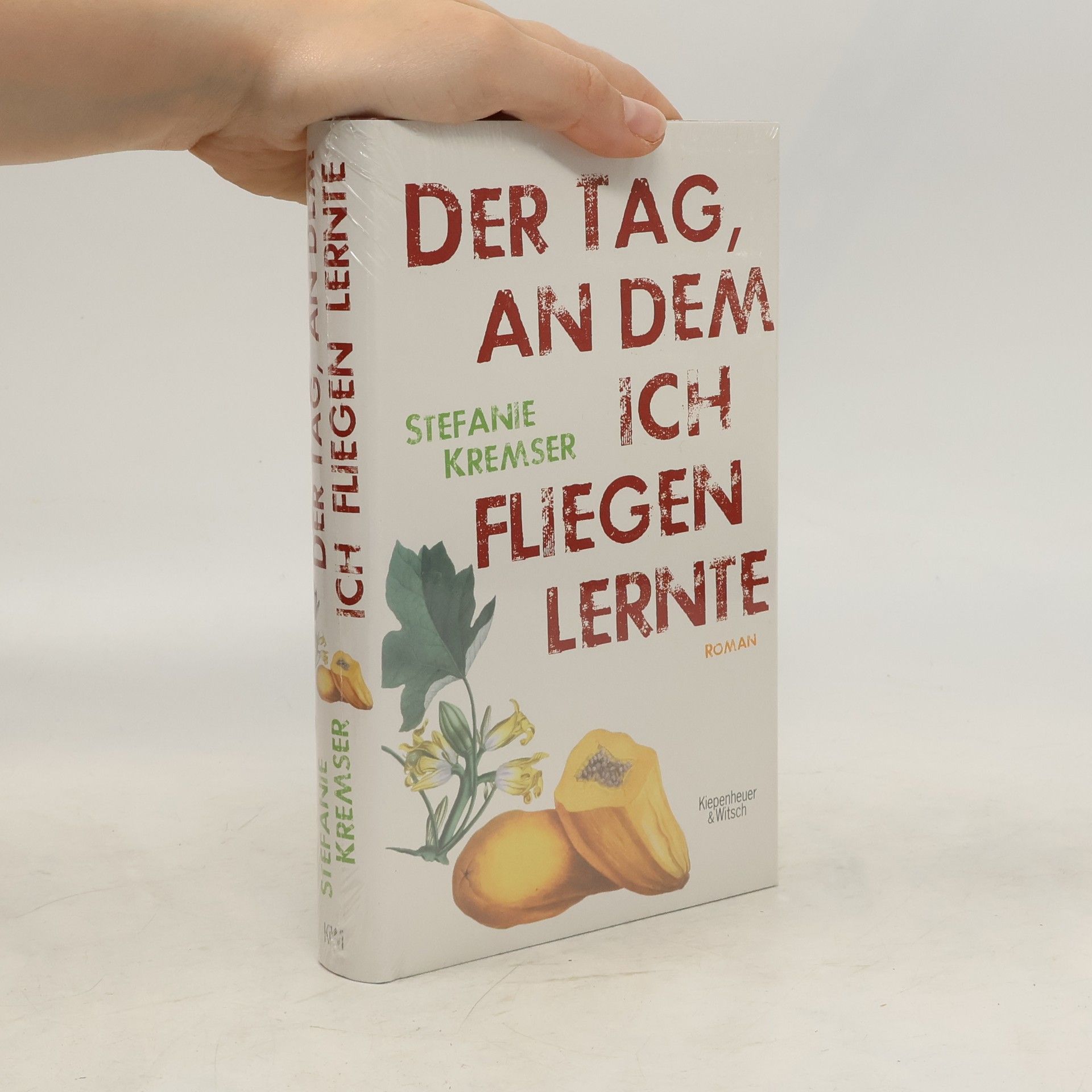 Stefanie Kremser Der Tag, an dem ich fliegen lernte