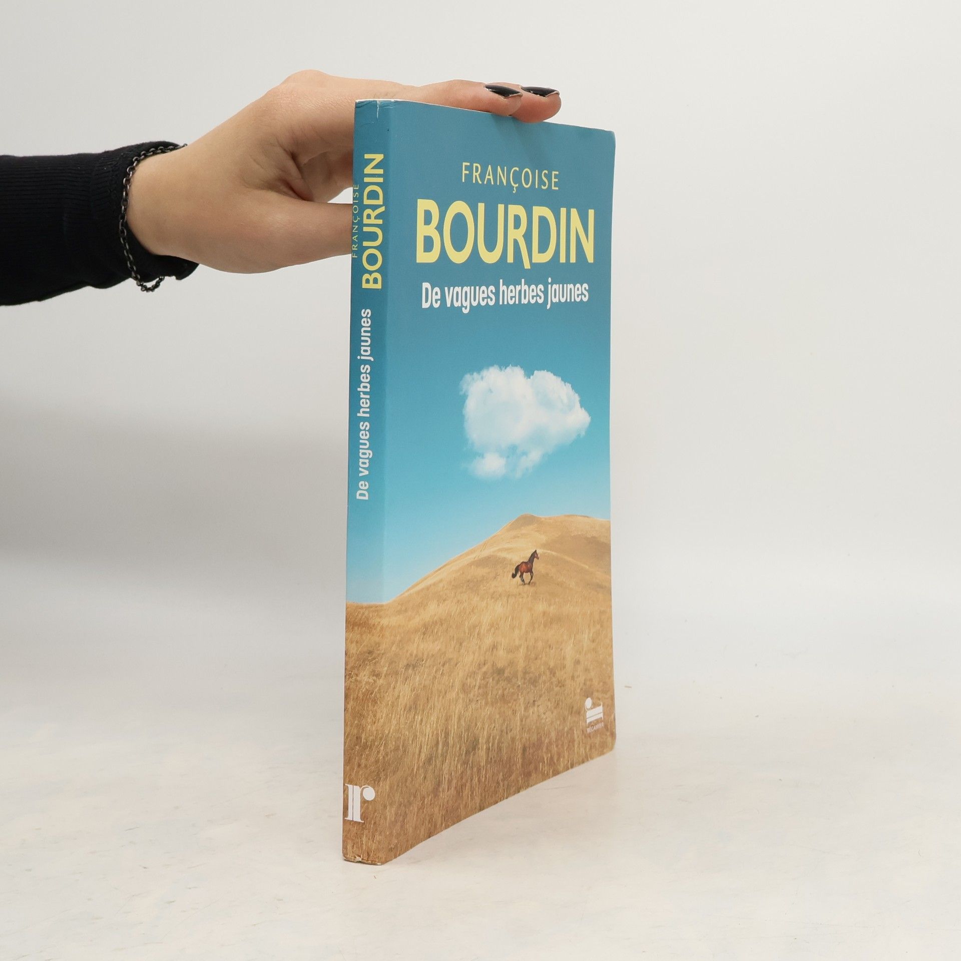 Françoise Bourdin De vagues herbes jaunes