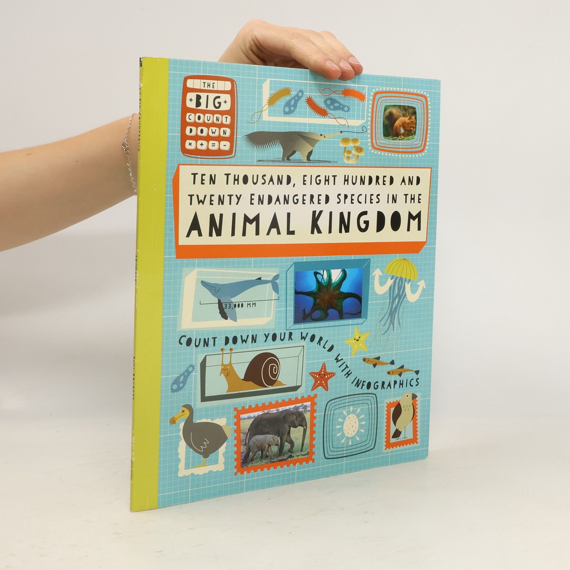 Paul Rockett The Big Countdown