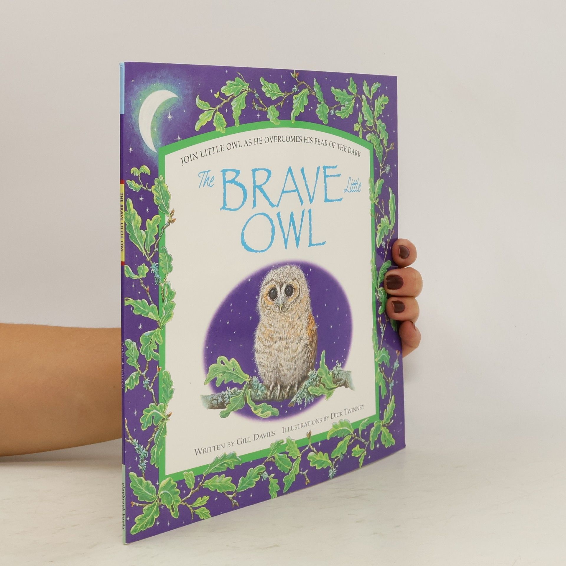 Gill Davies The Brave Little Owl