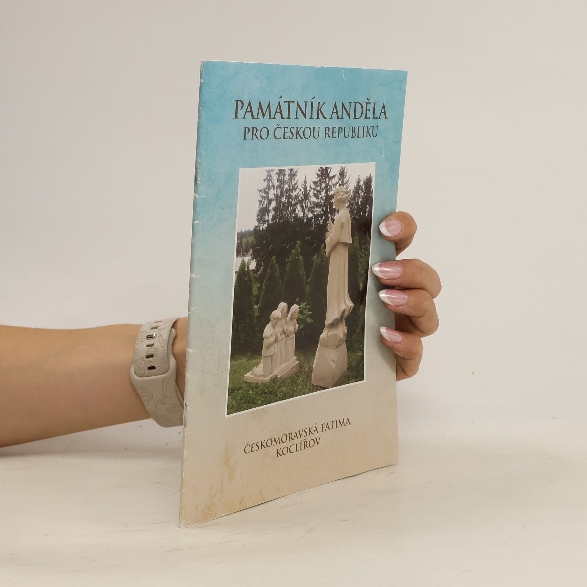 Collectif d'auteurs Památník anděla pro Českou republiku