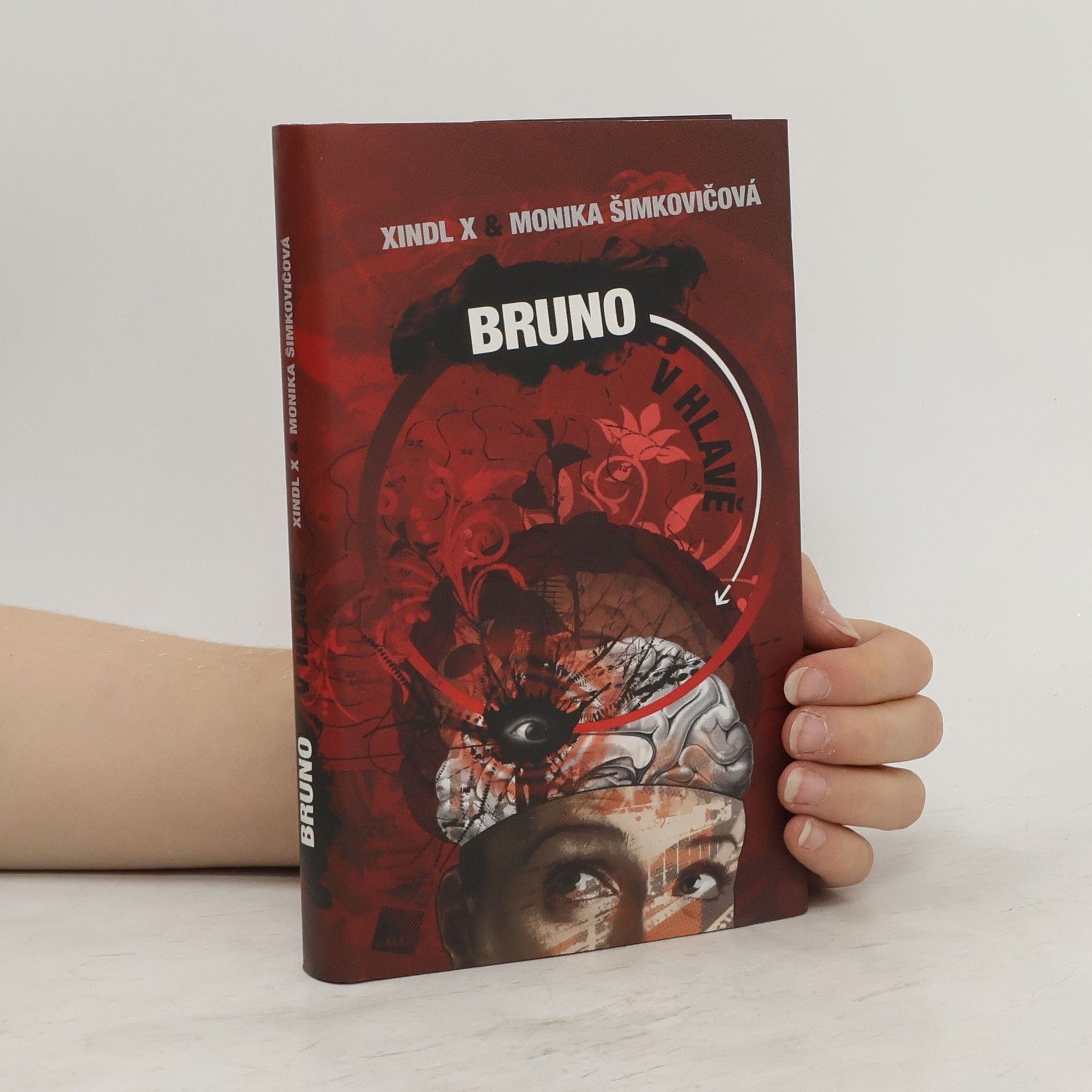 Monika Šimkovičová Bruno v hlavě
