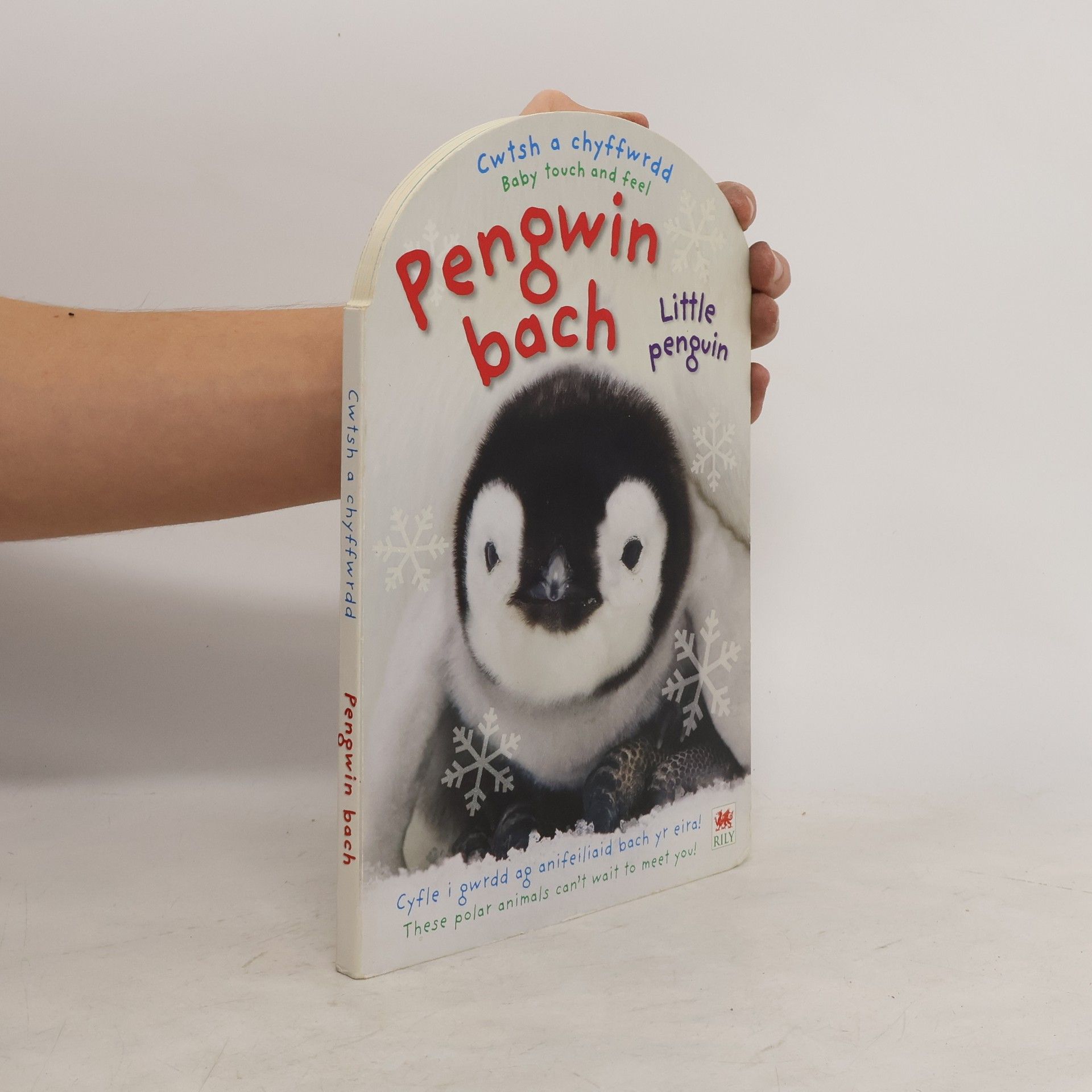 Roger Priddy Pengwin Bach. Little Penguin
