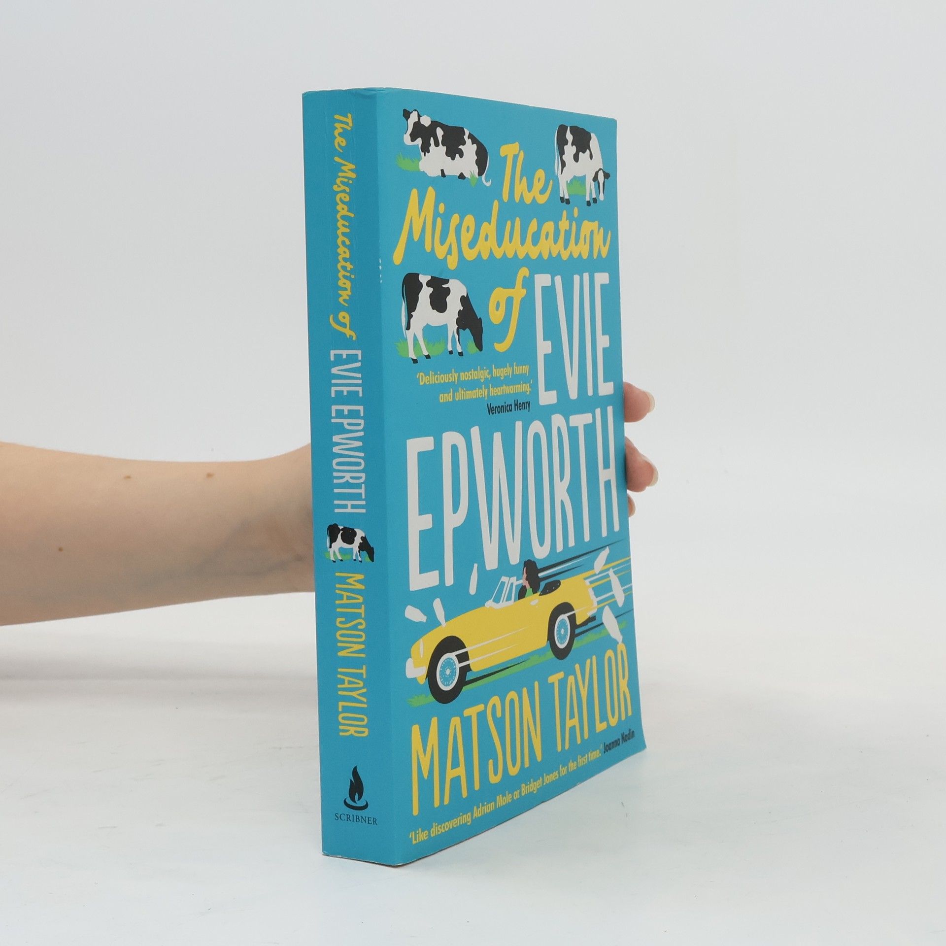 Matson Taylor The Miseducation of Evie Epworth