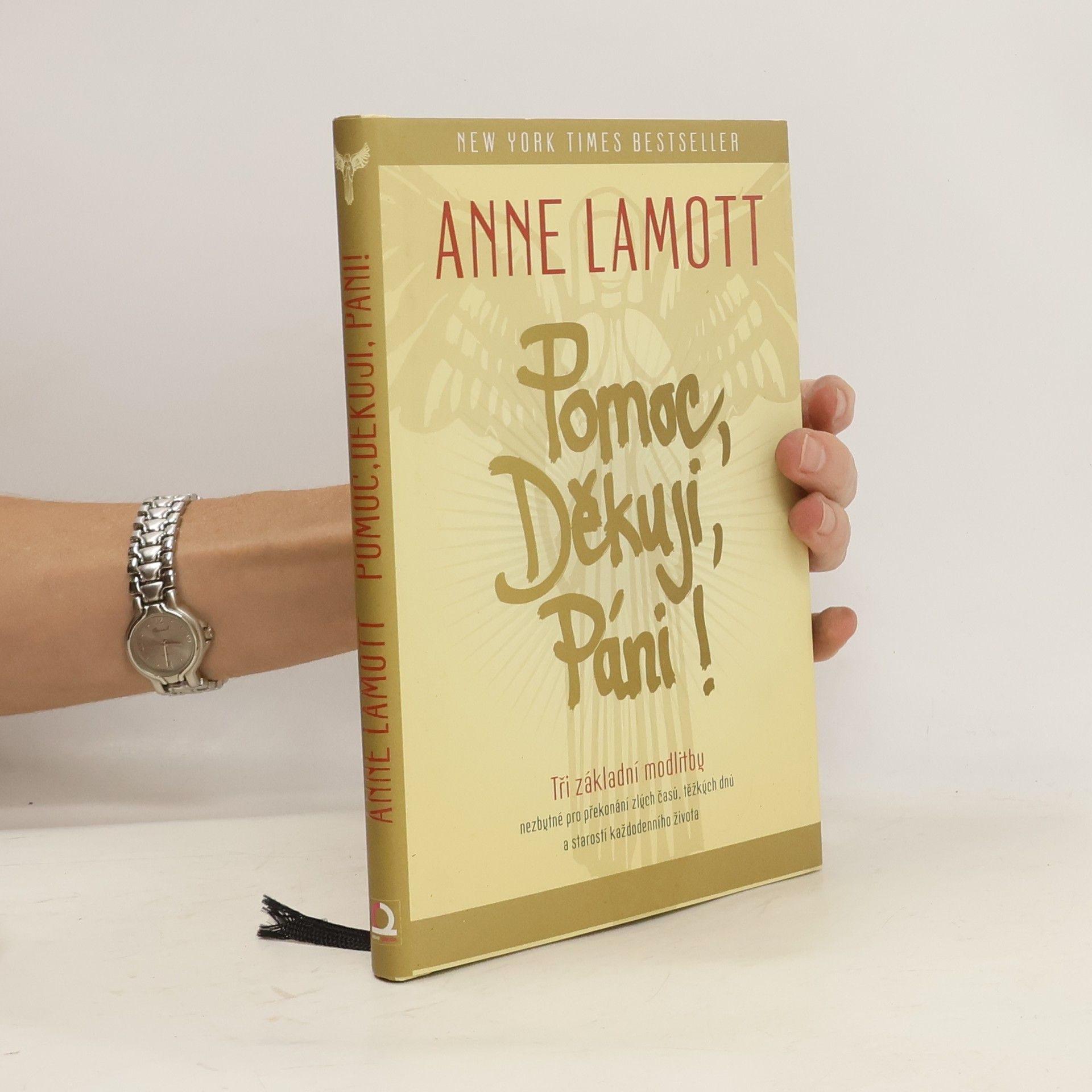 Anne Lamott Pomoc, Děkuji, Páni!