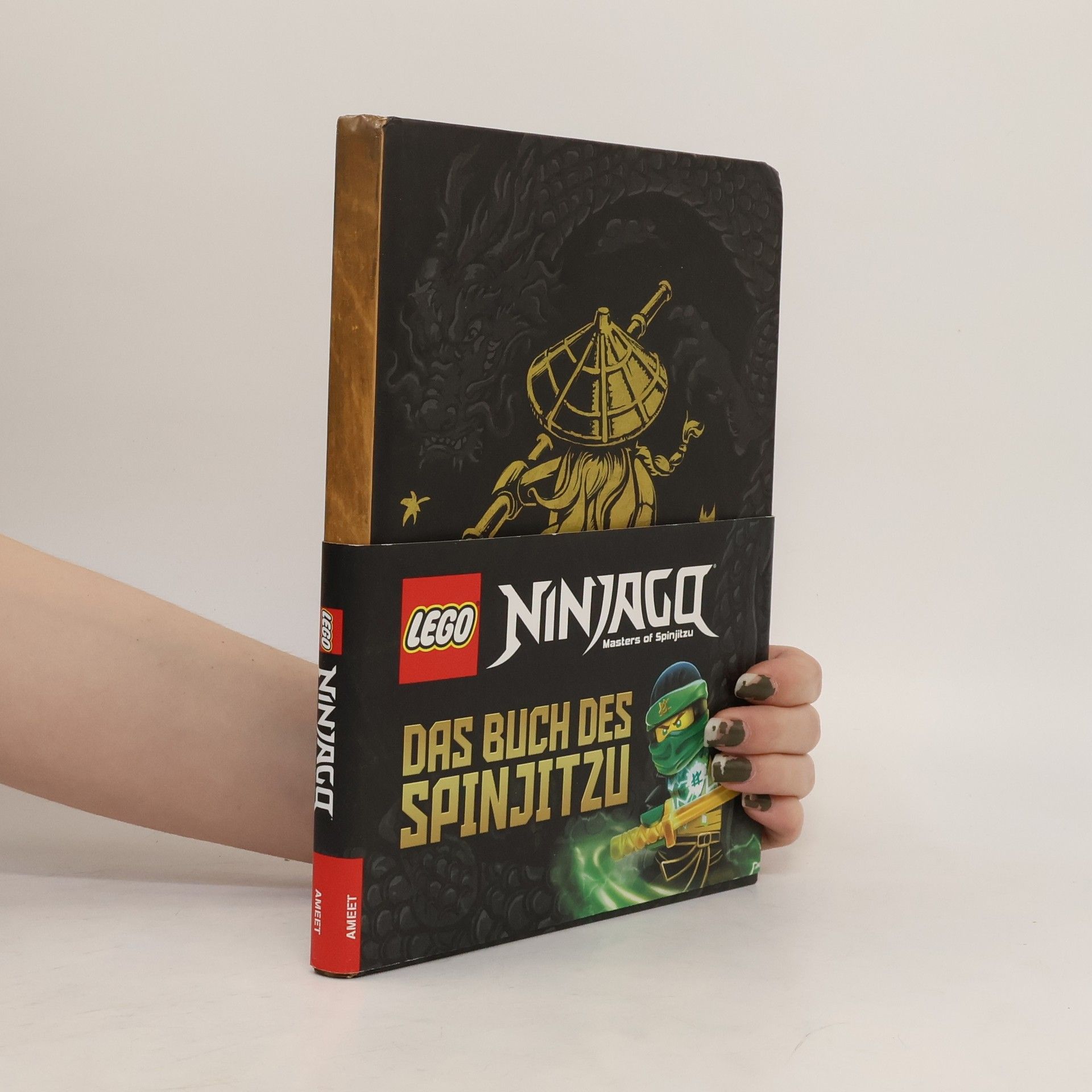 M. Adam LEGO® NINJAGO® Das Buch des Spinjitzu