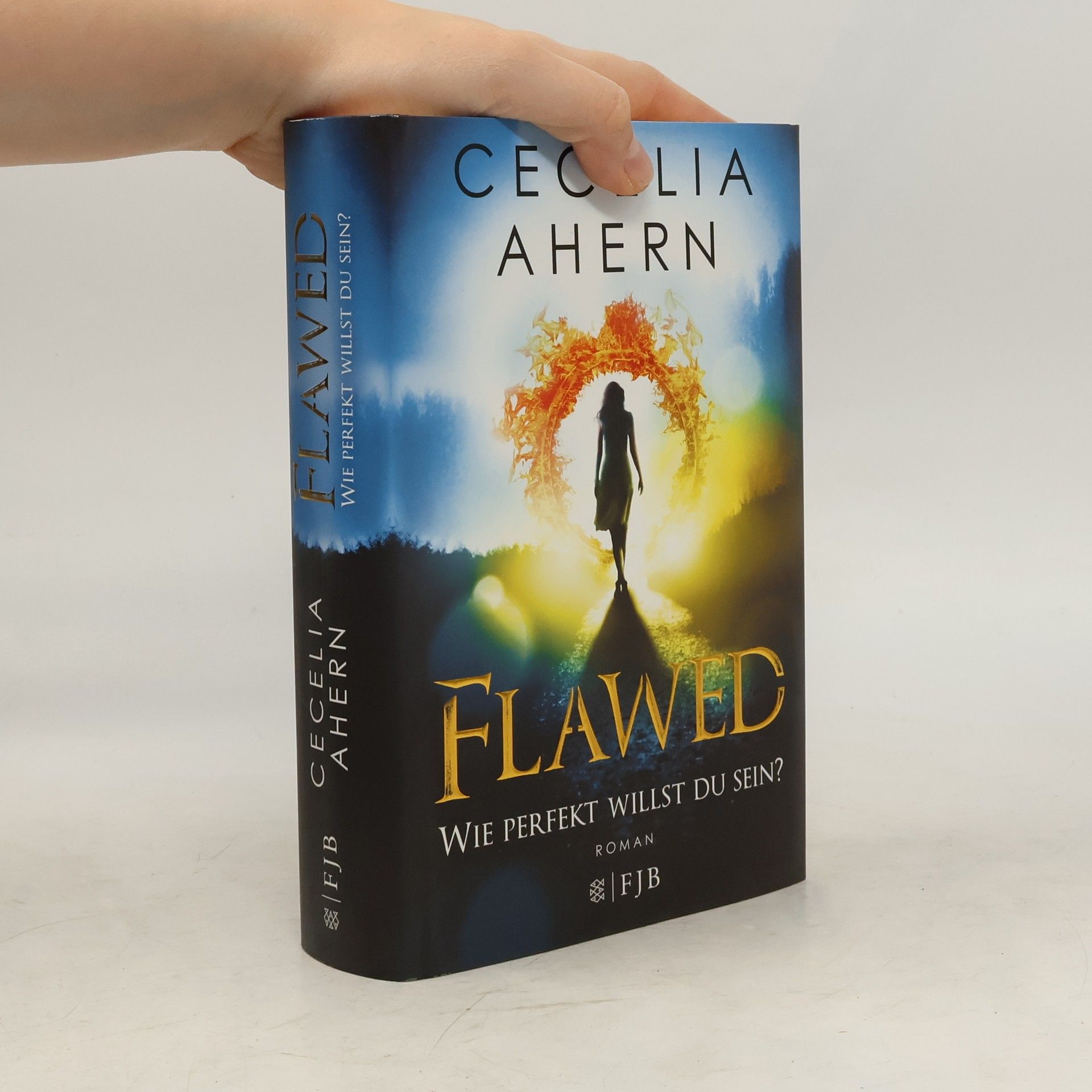 Cecelia Ahern Flawed - wie perfekt willst du sein?