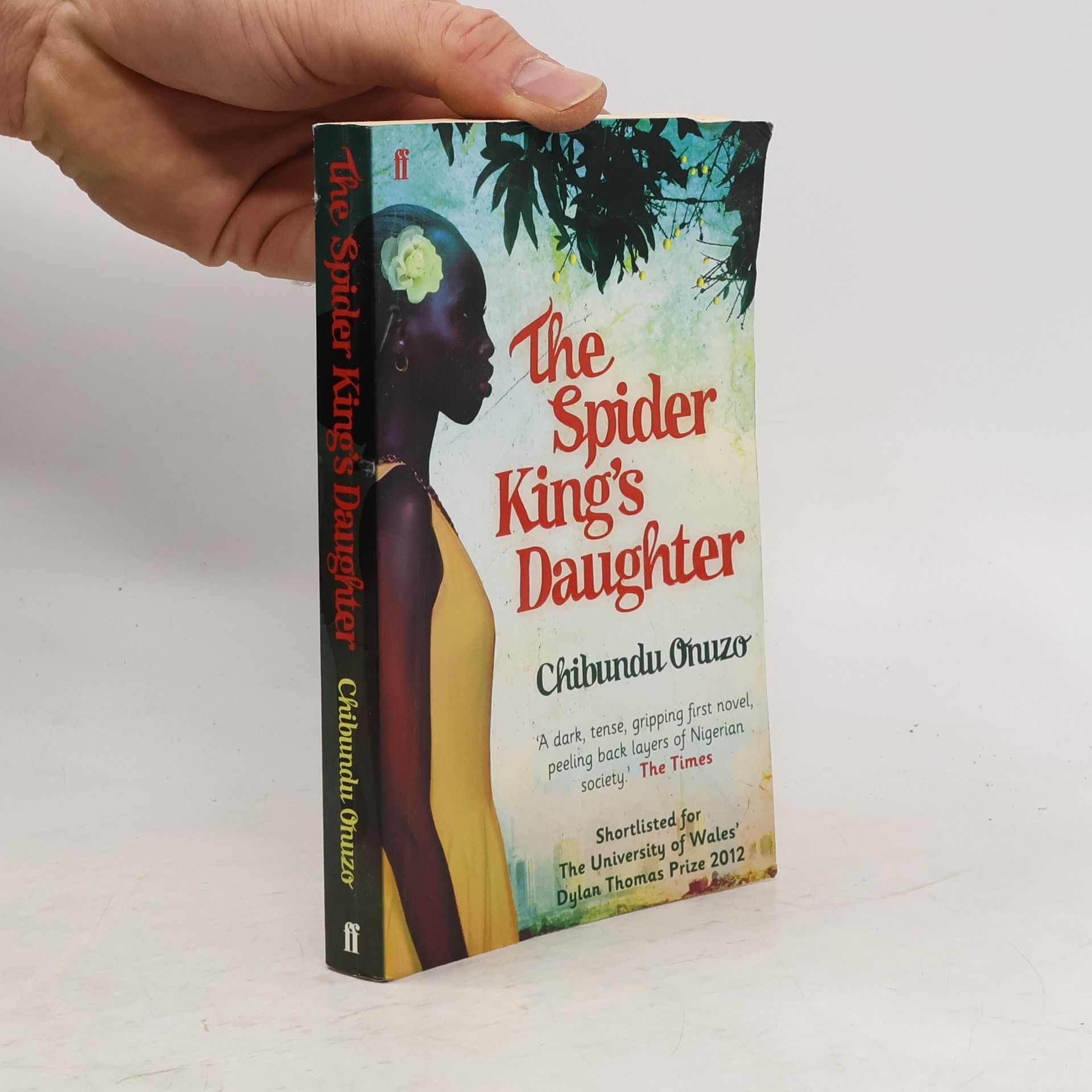 Chibundu Onuzo The Spider King's Daughter