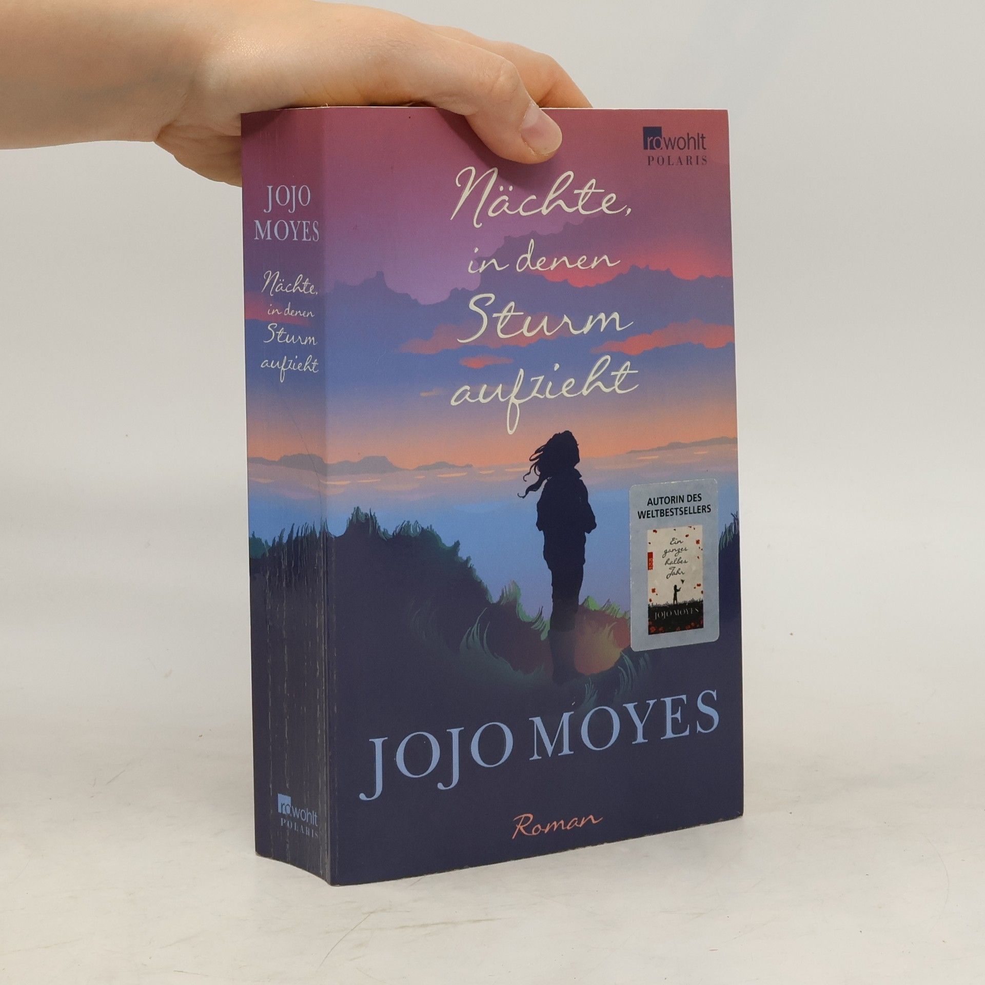 Jojo Moyes Nächte in denen Sturm aufzieht