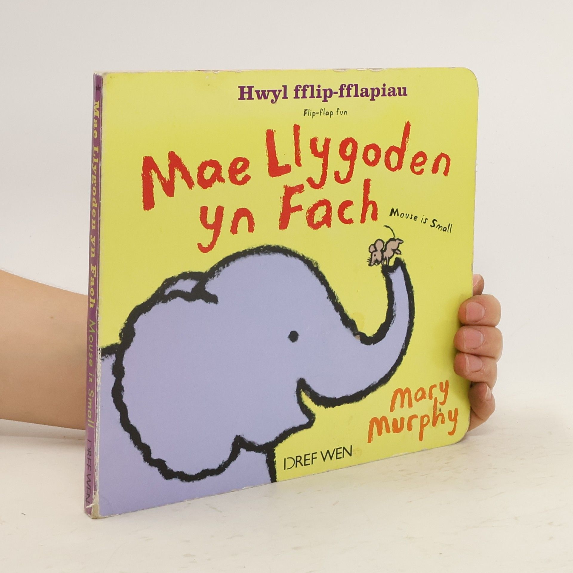 Mary Murphy Mae Llygoden yn Fach / Mouse is Small