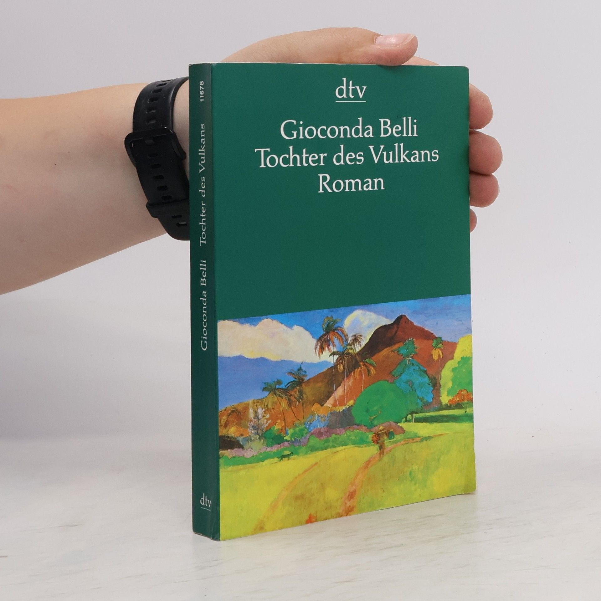 Gioconda Belli Tochter des Vulkans