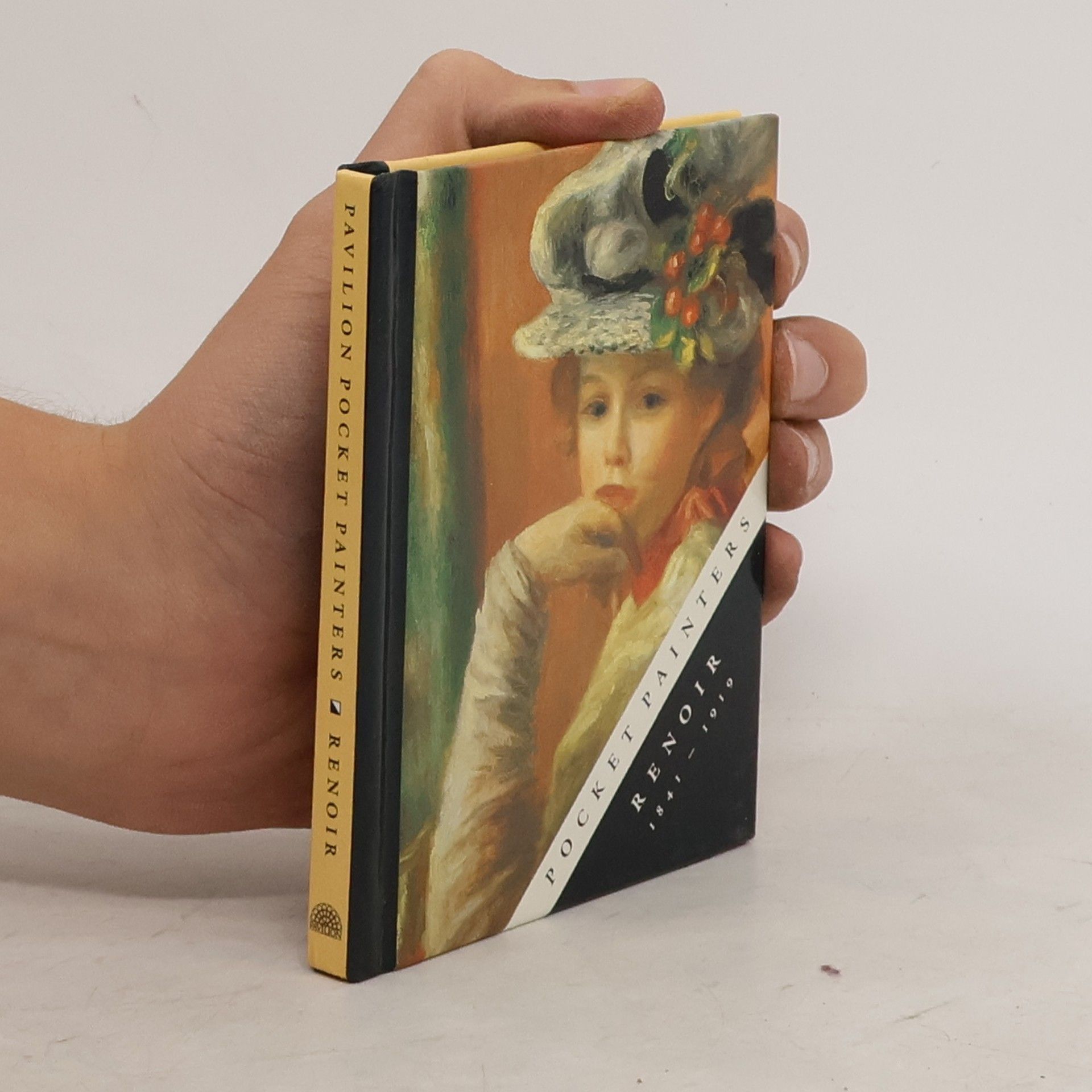 Auguste Renoir Life and Works of Renoir