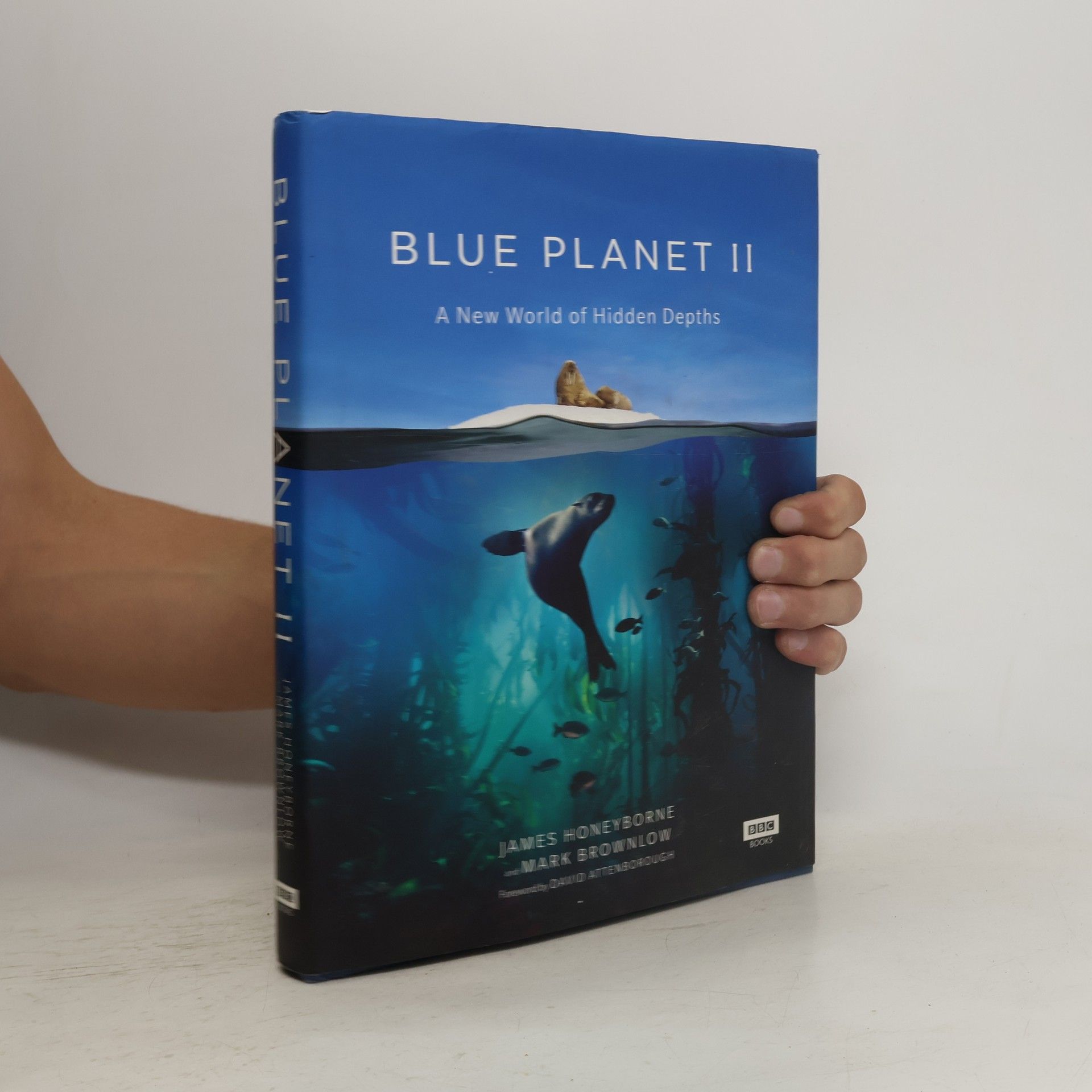 Mark Brownlow Blue Planet II