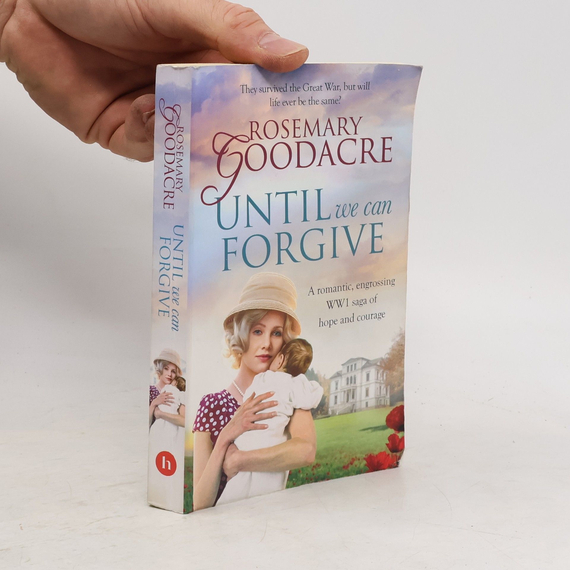 Rosemary Goodacre Until We Can Forgive
