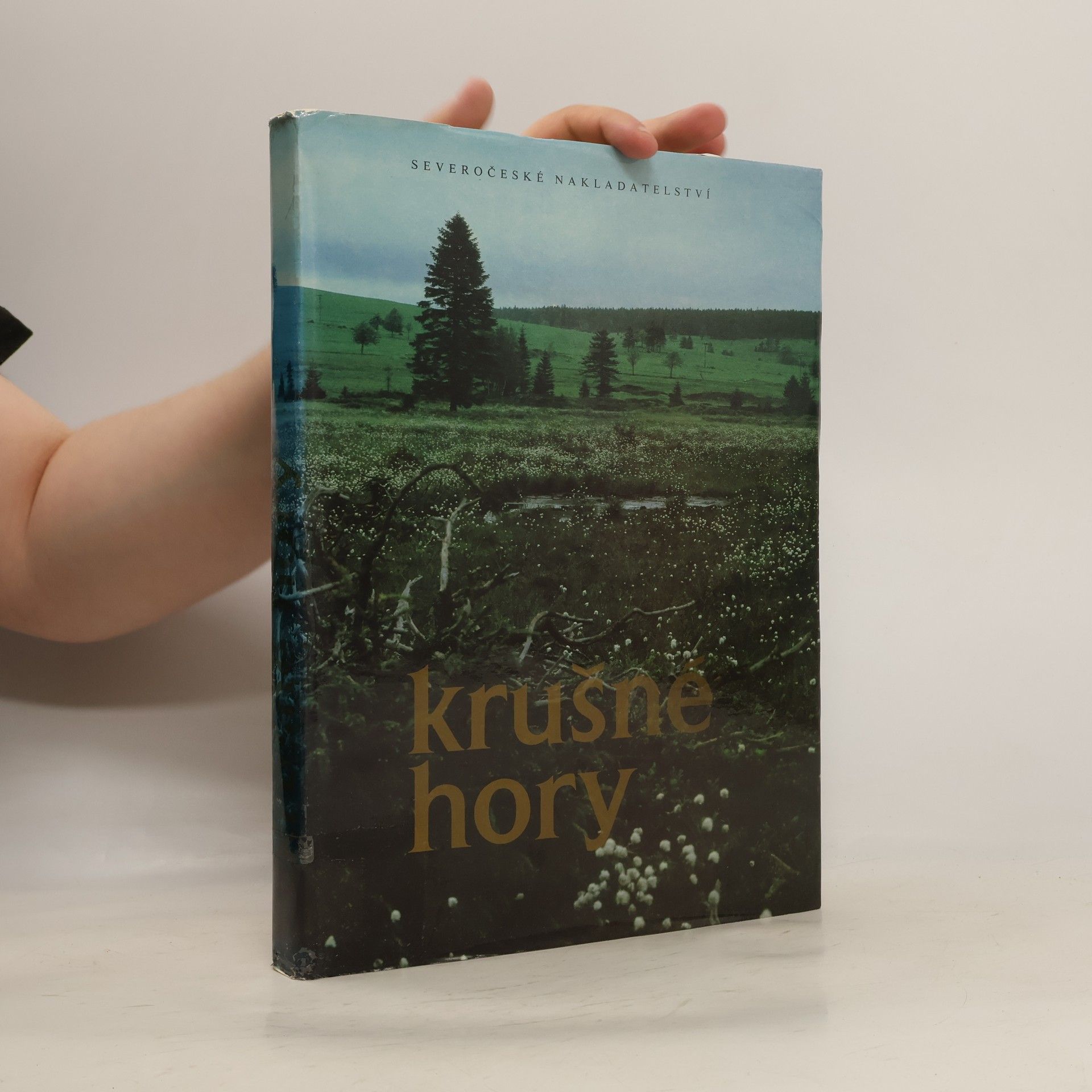 Václav Houžvička Krušné hory