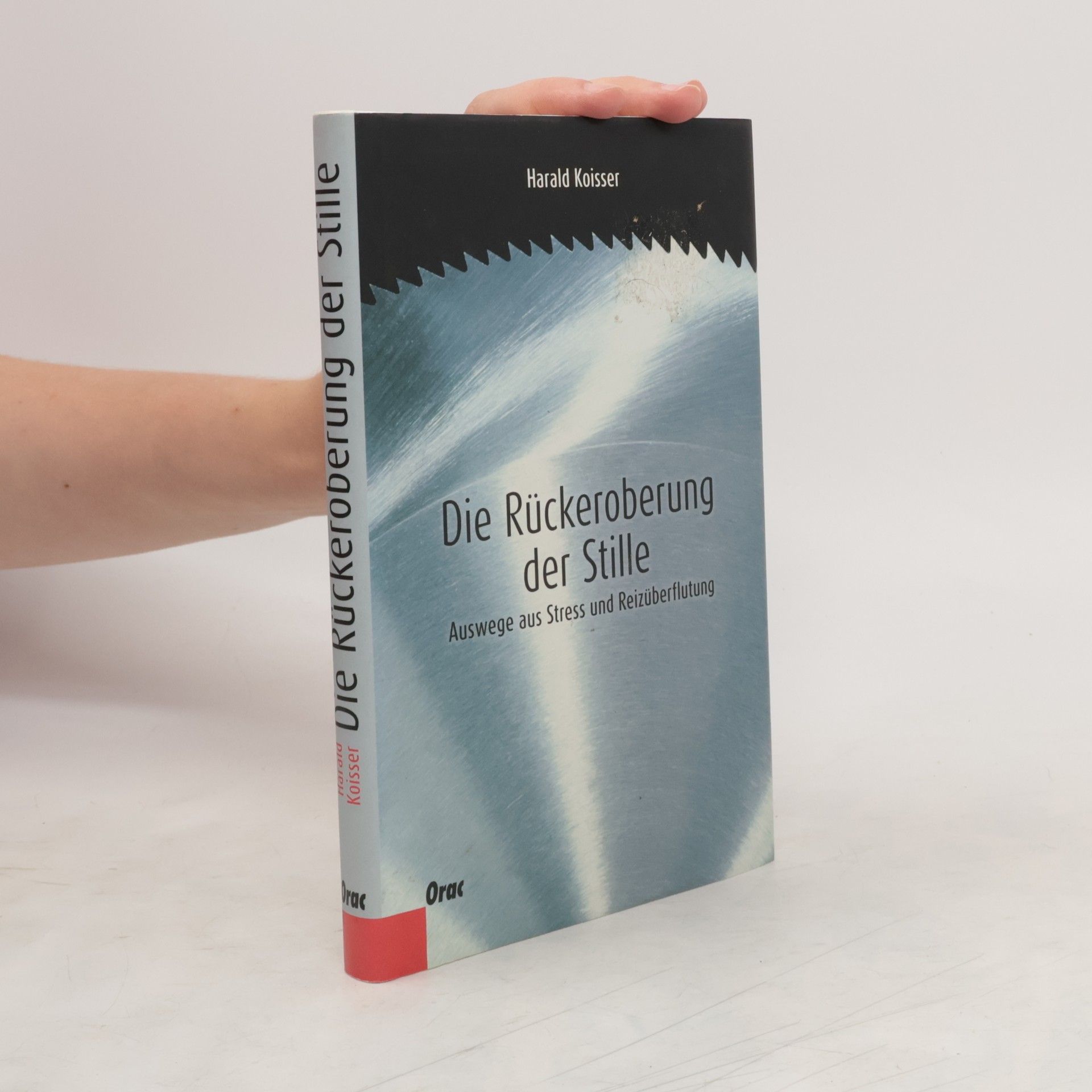 Harald Koisser Die Rückeroberung der Stille