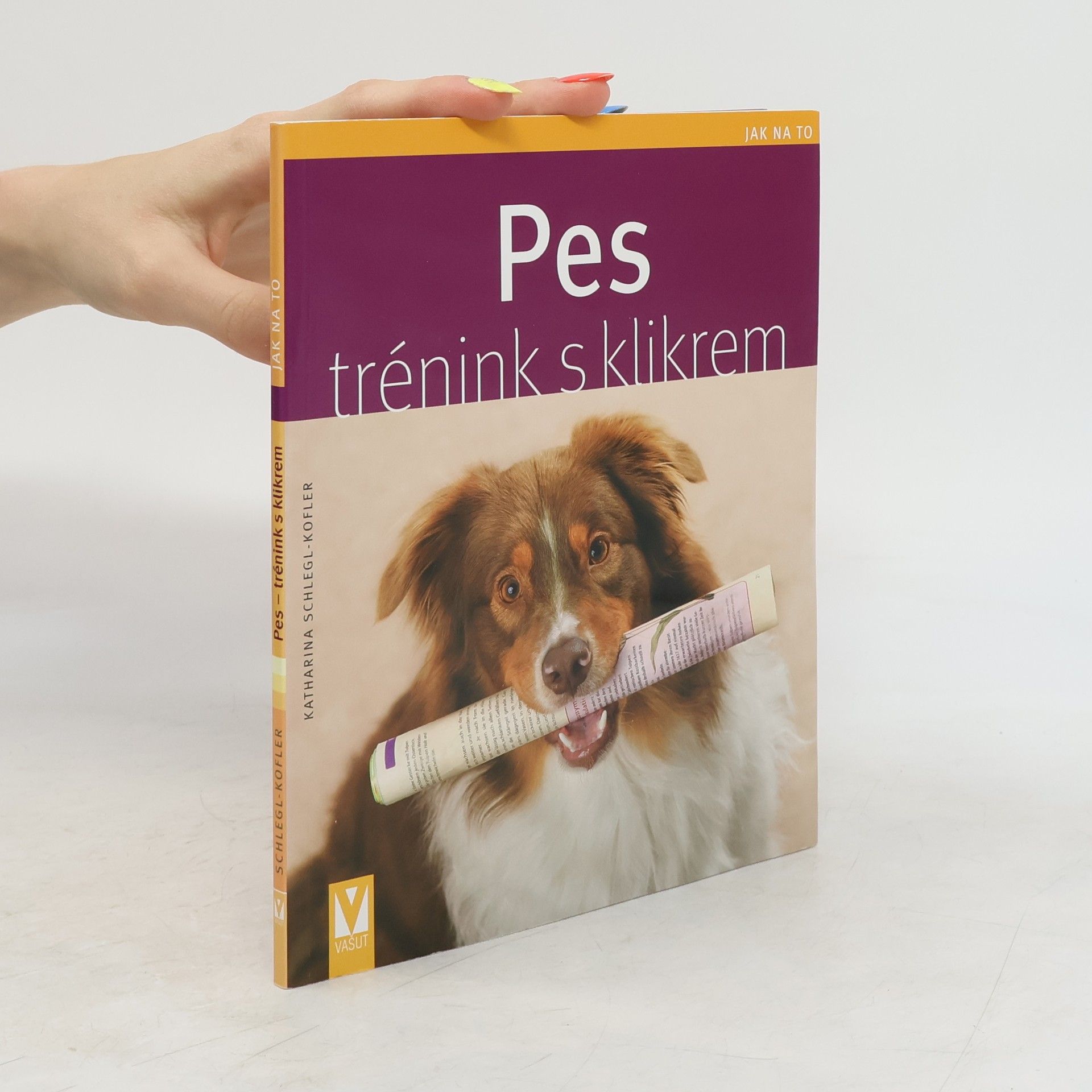 Pes - trénink s klikrem