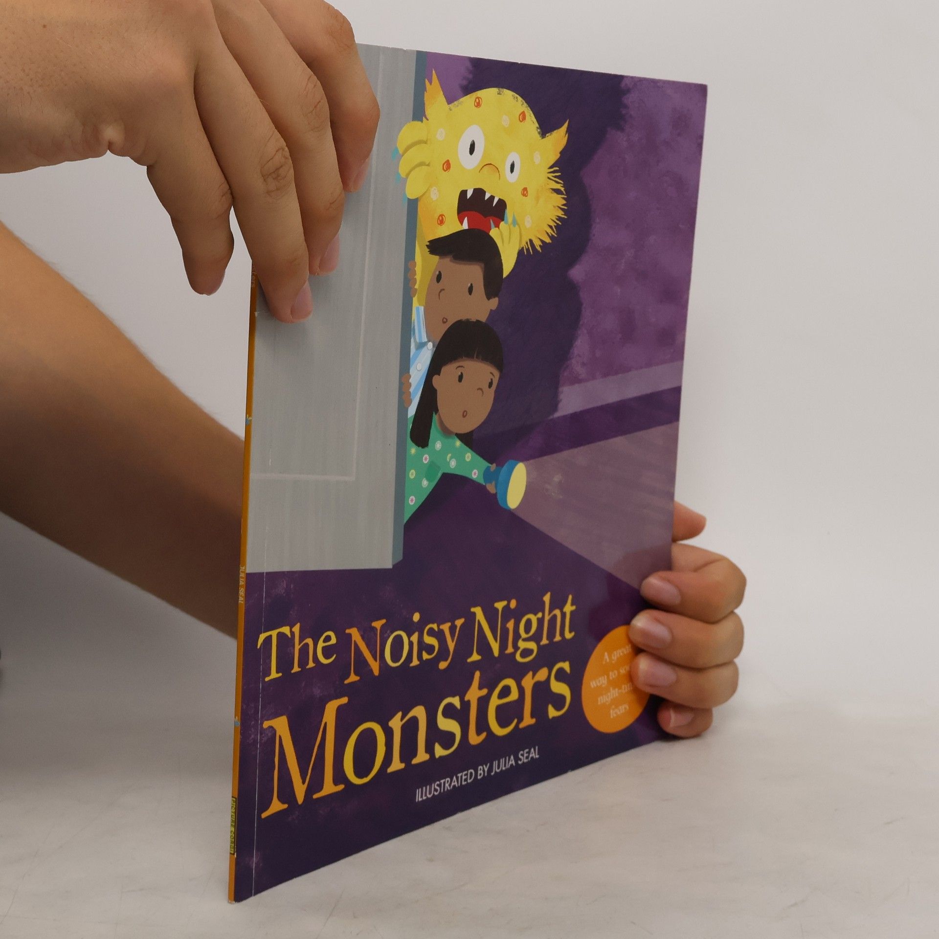 Julia Seal The Noisy Night Monsters