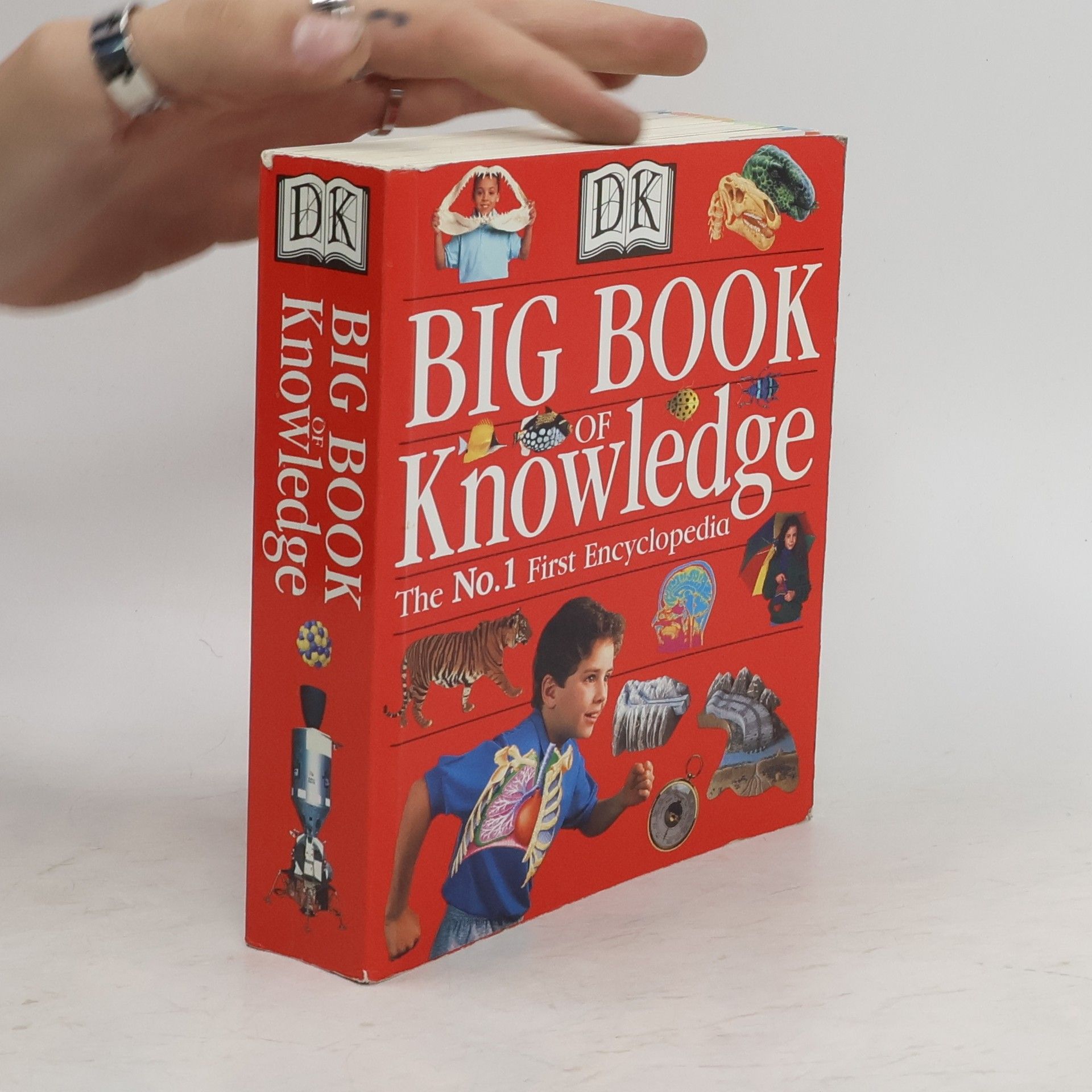 Sarah Phillips Big Book of Knowledge. The No.1 First Encyclopedia