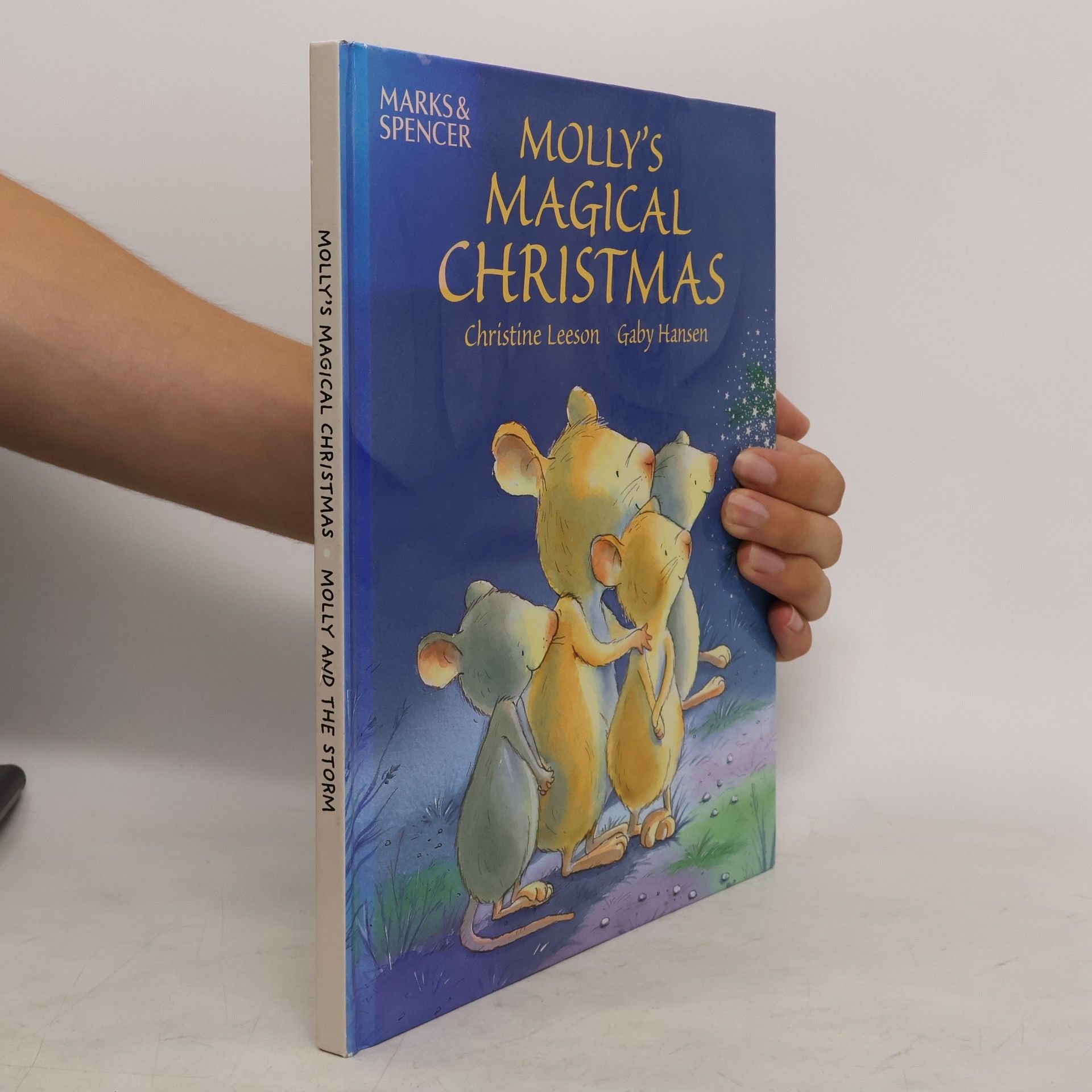 Christine Leeson Molly's Magical Christmas