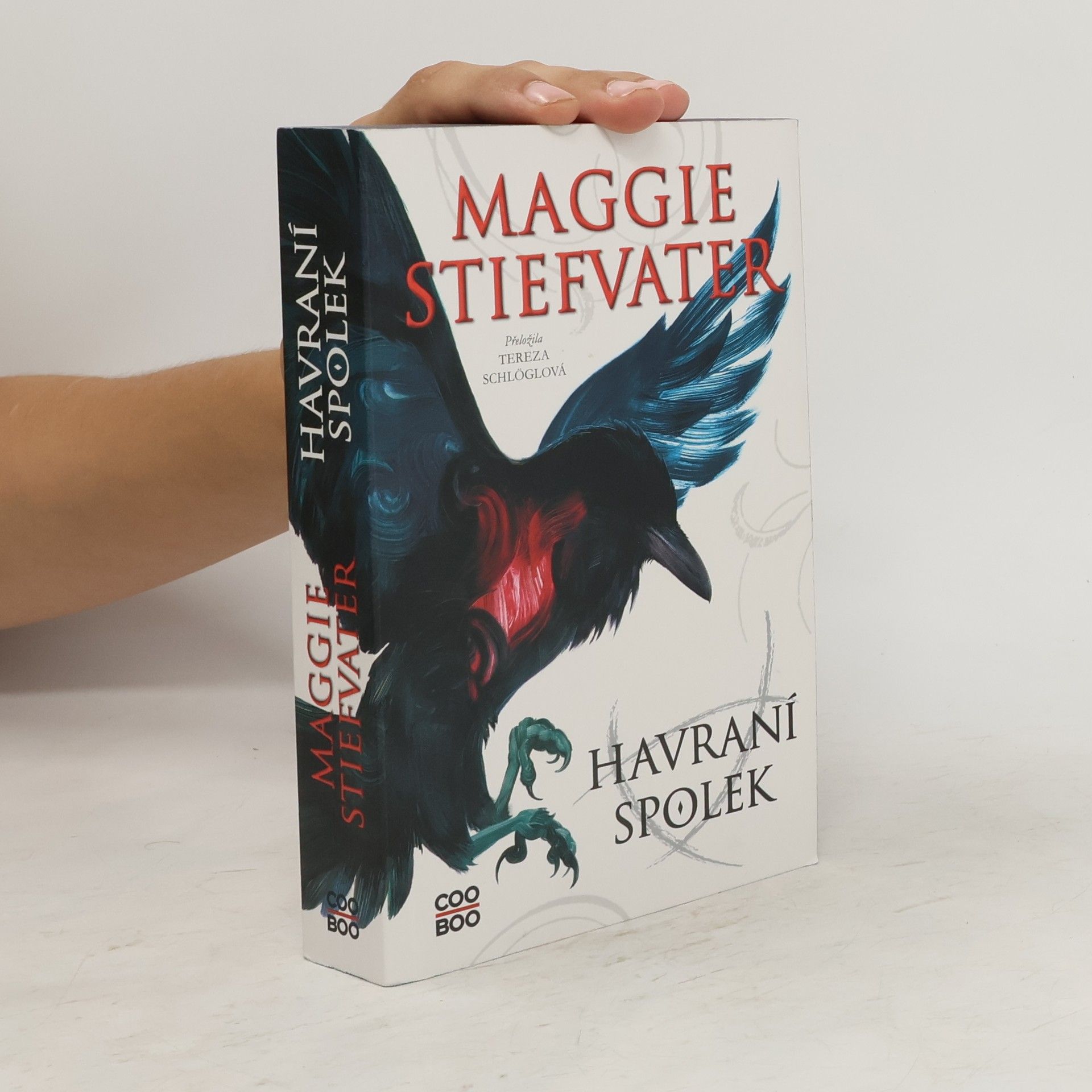 Maggie Stiefvaterová Havraní spolek