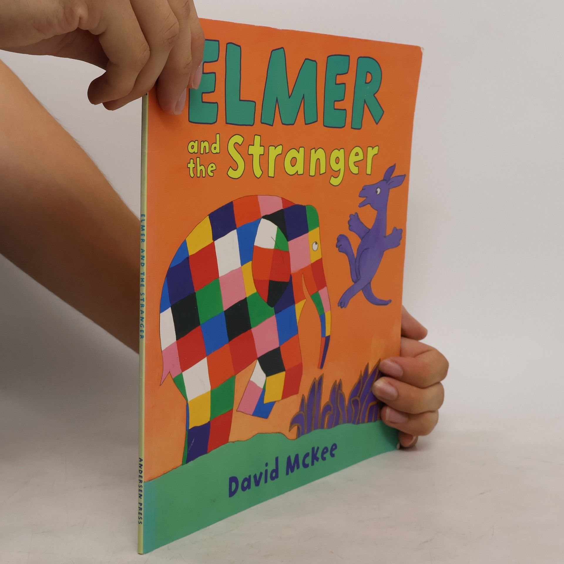 David McKee Elmer and the Stranger