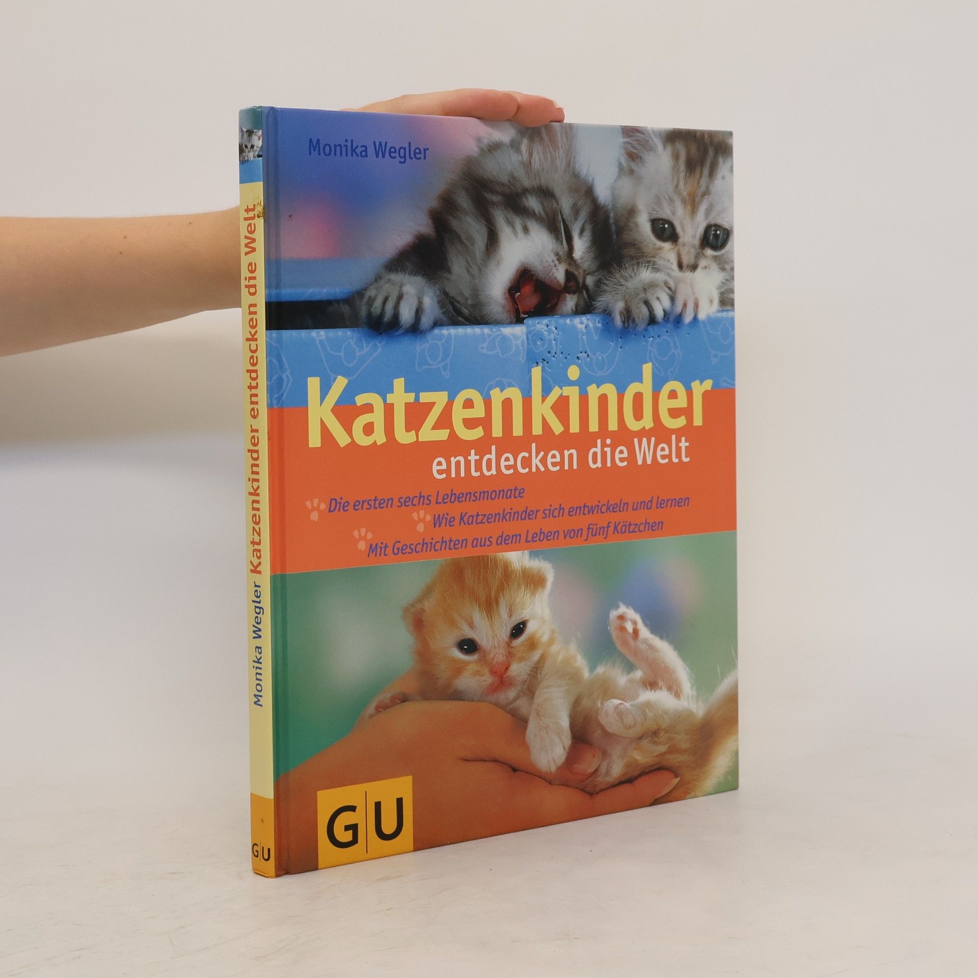 Monika Wegler Katzenkinder. entdecken die Welt