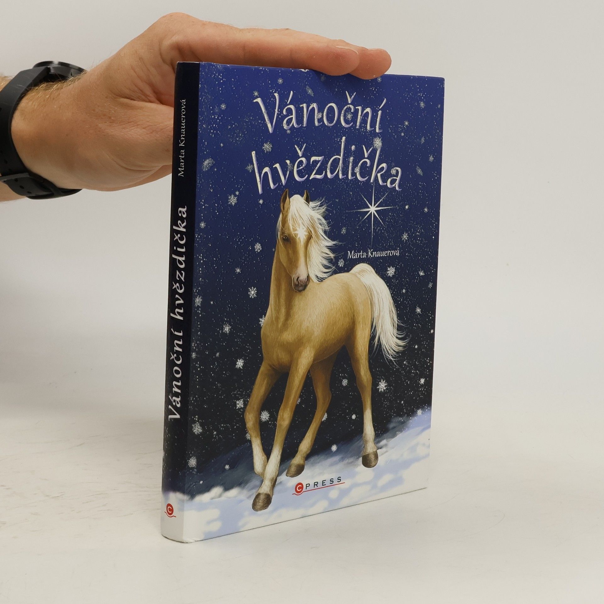 Marta Knauerová Vánoční hvězdička