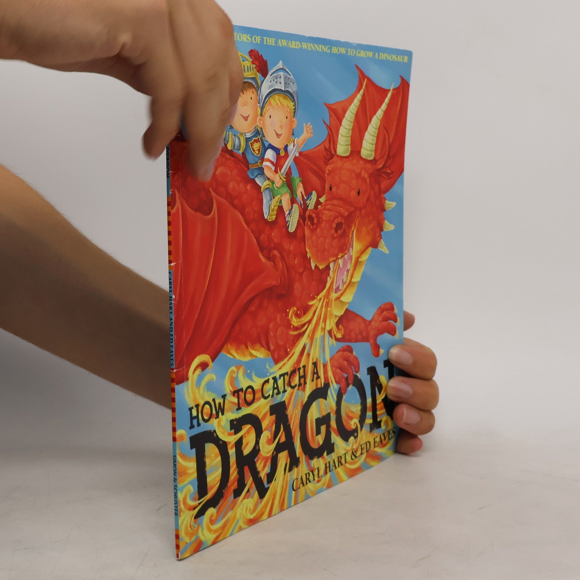 Caryl Hart How To Catch a Dragon