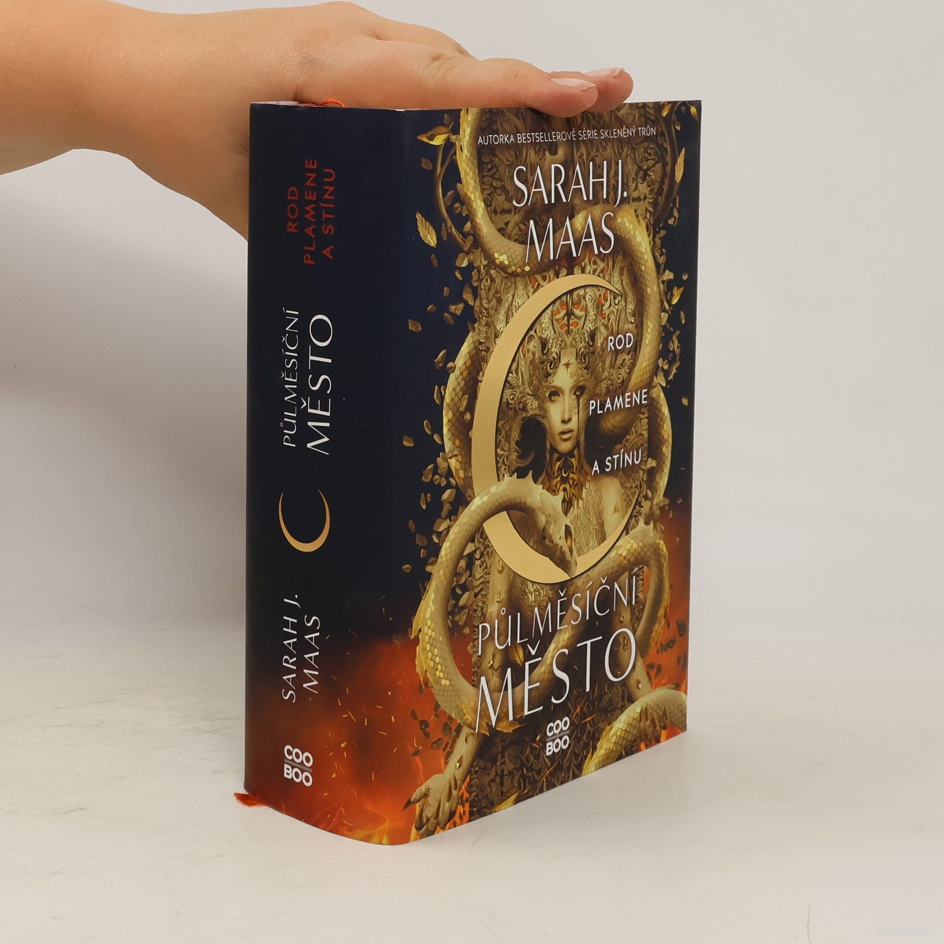 Sarah J. Maas Rod plamene a stínu