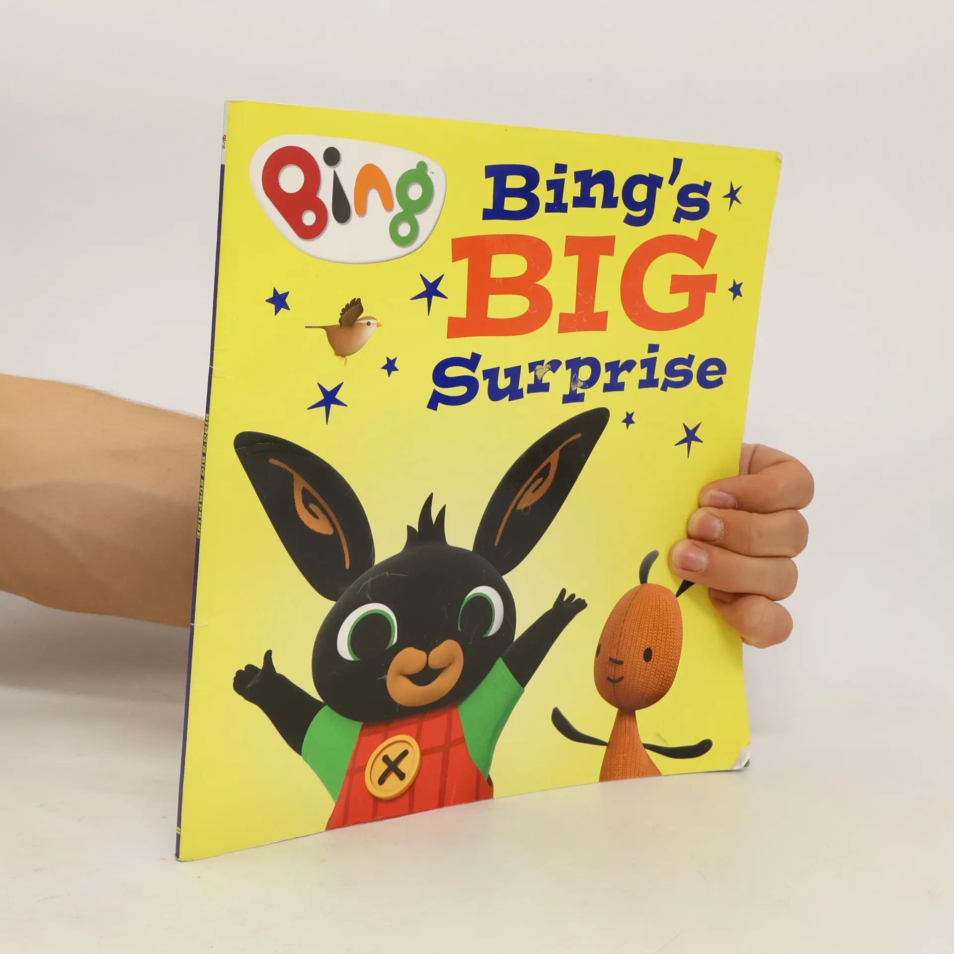 Bing's Big Surprise | kolektiv | English | Book