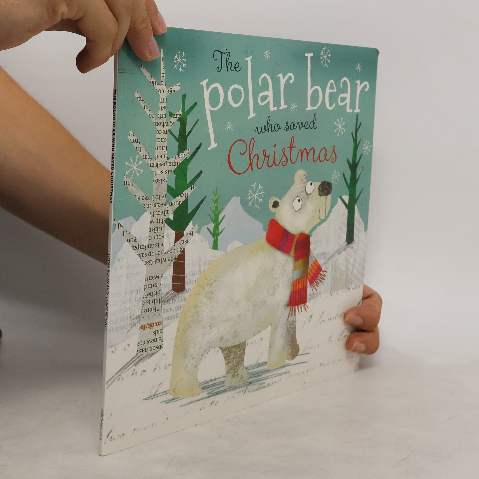 Fiona Boon Polar Bear Who Saved Christmas
